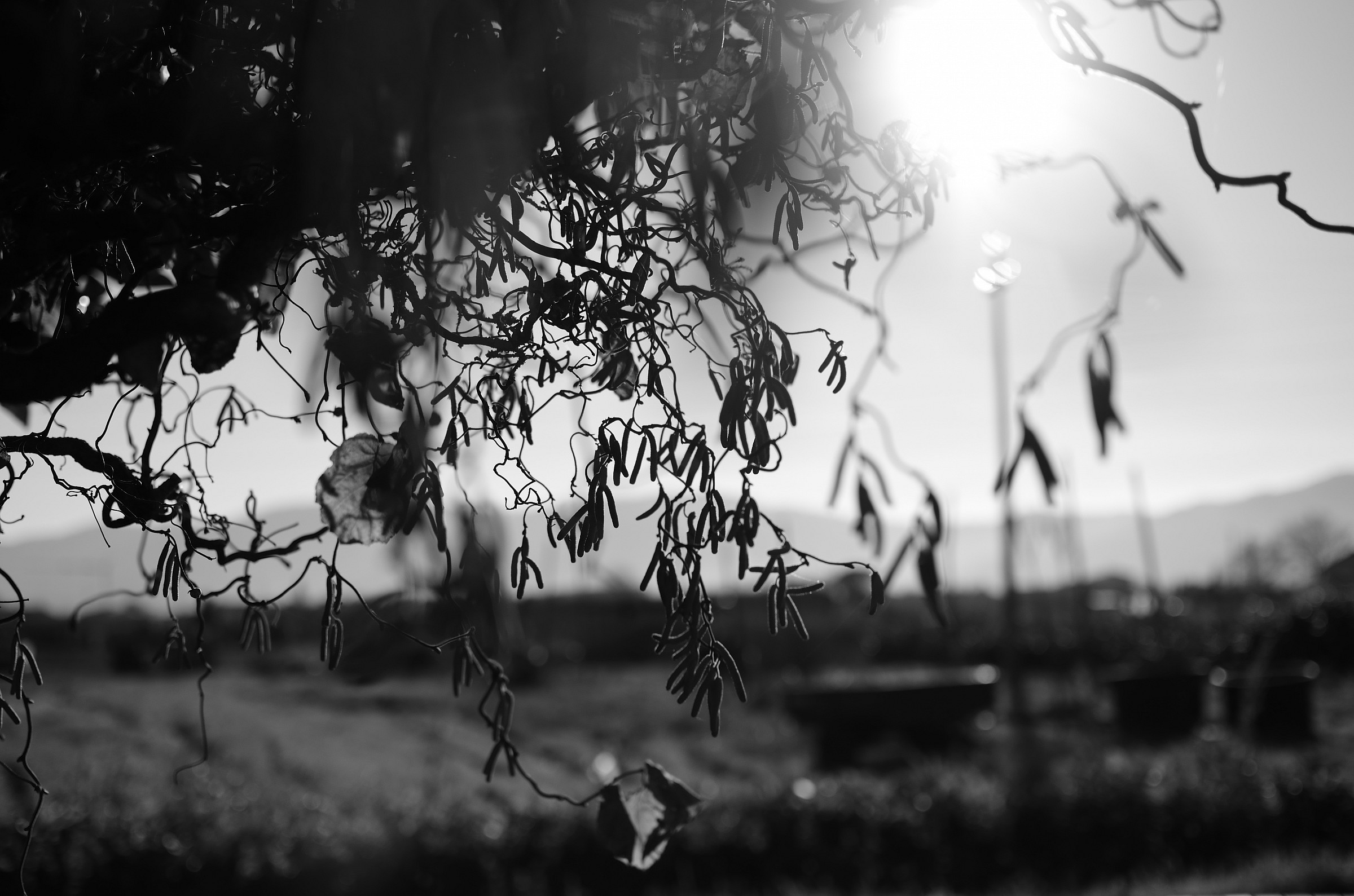 ...il sole di dicembre