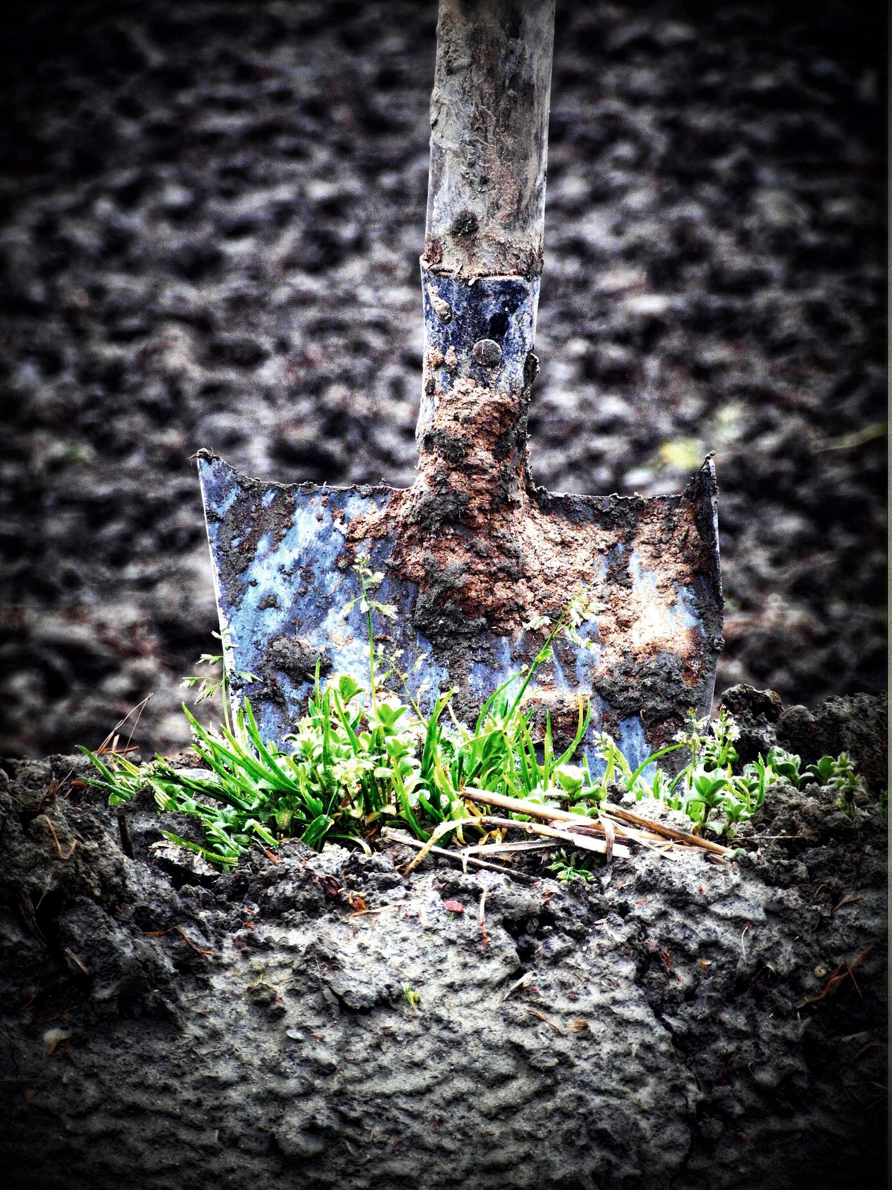 il dono del mio lavoro