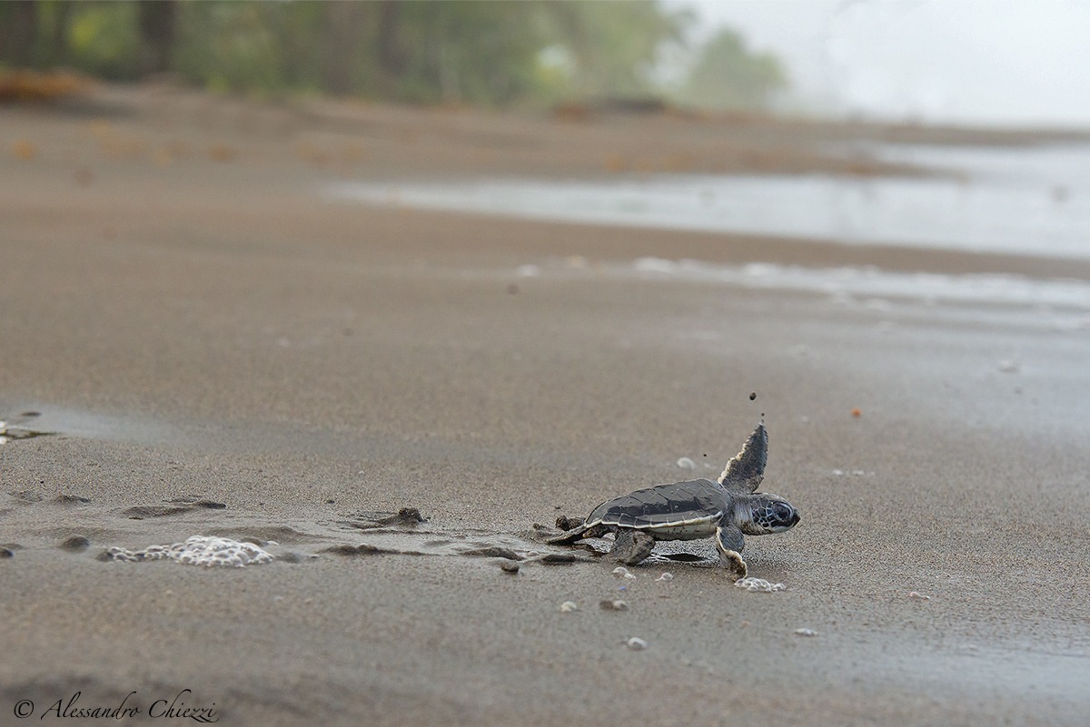 In volo verso il mare