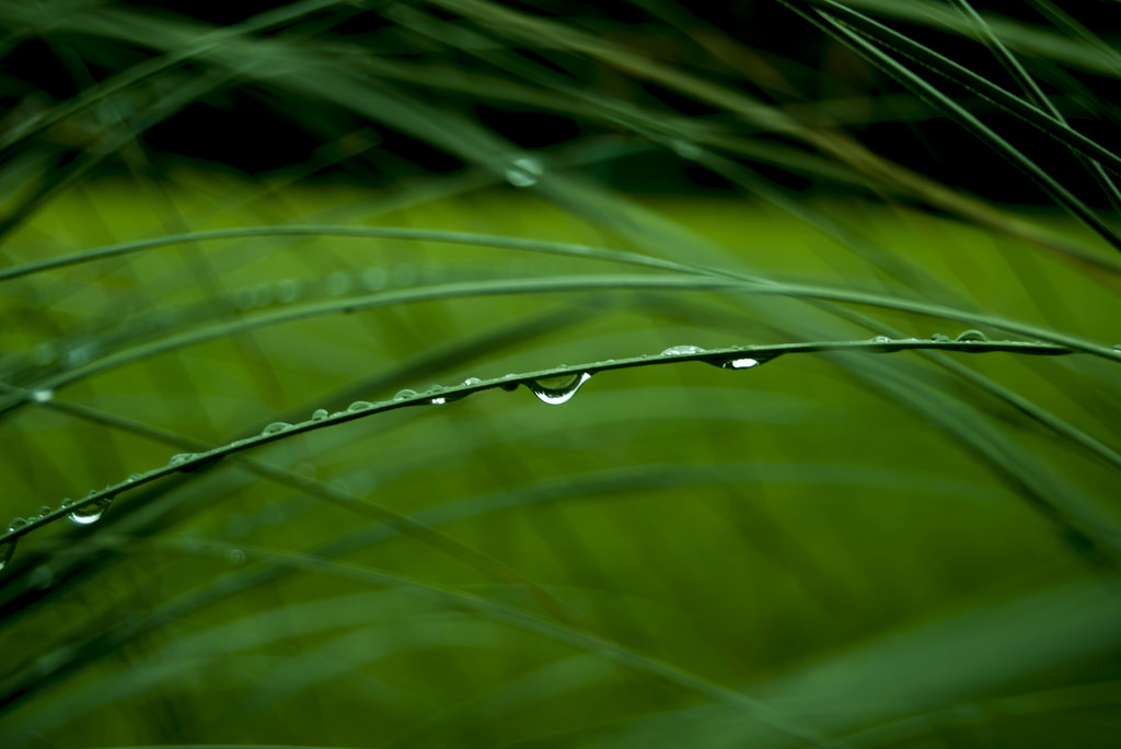 Wires drops - Fili di goccie