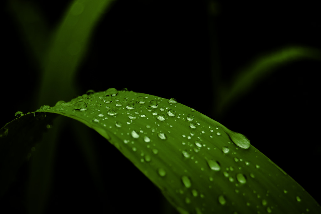 Road Drops - Drops of Highway