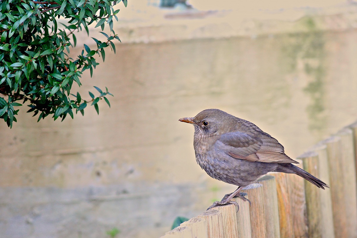 Pleasant winter meetings