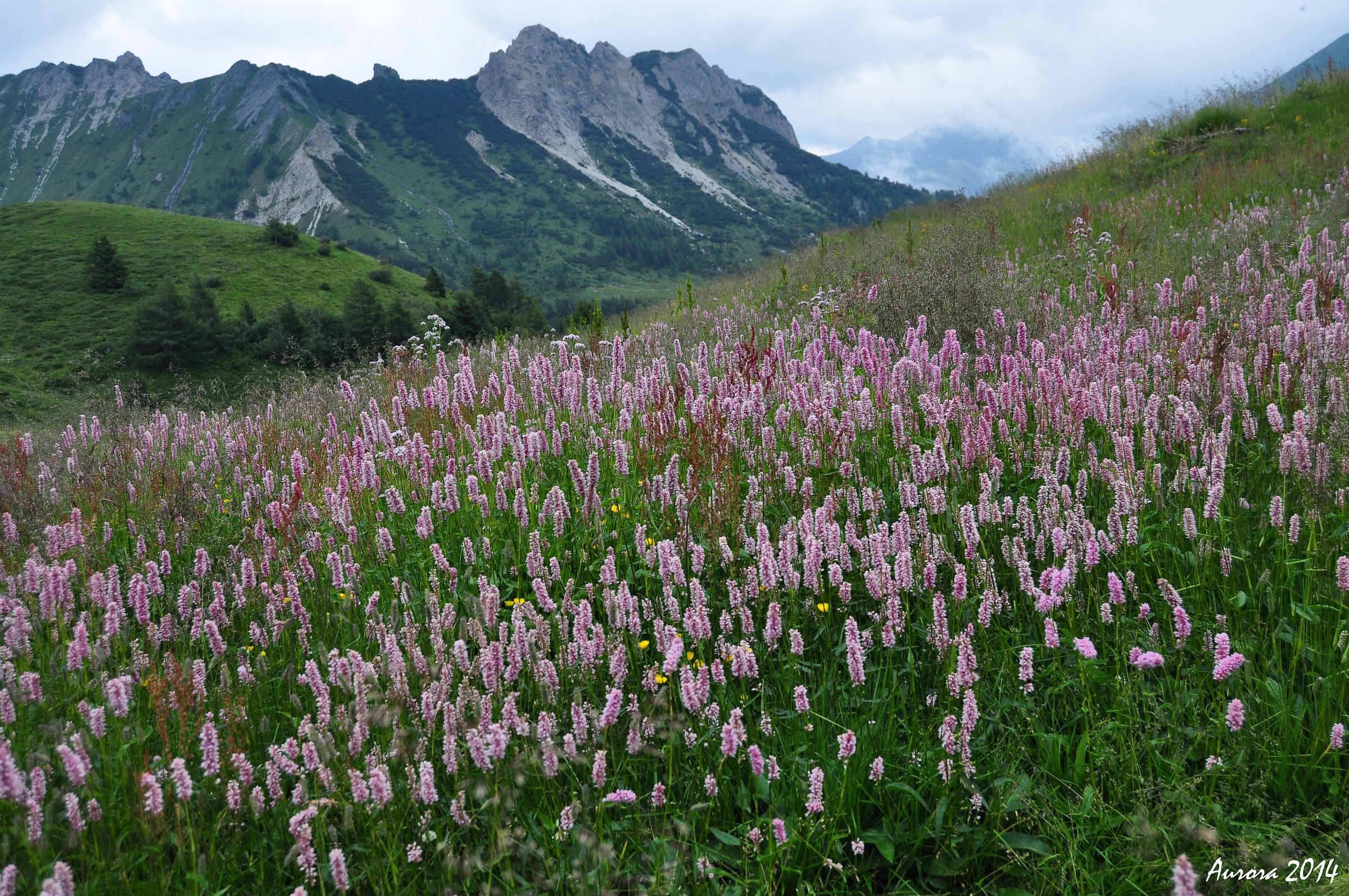 Primavera in Valfredda