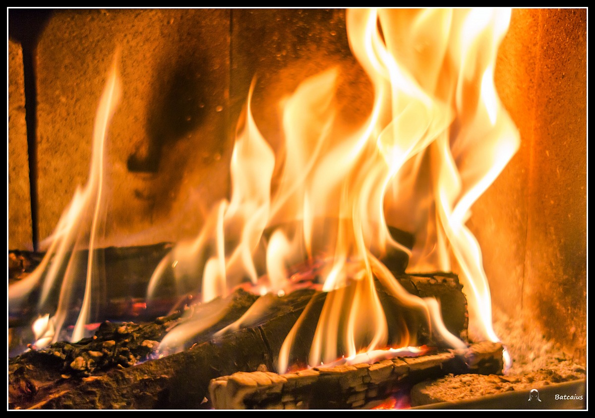 Small pleasures Winter