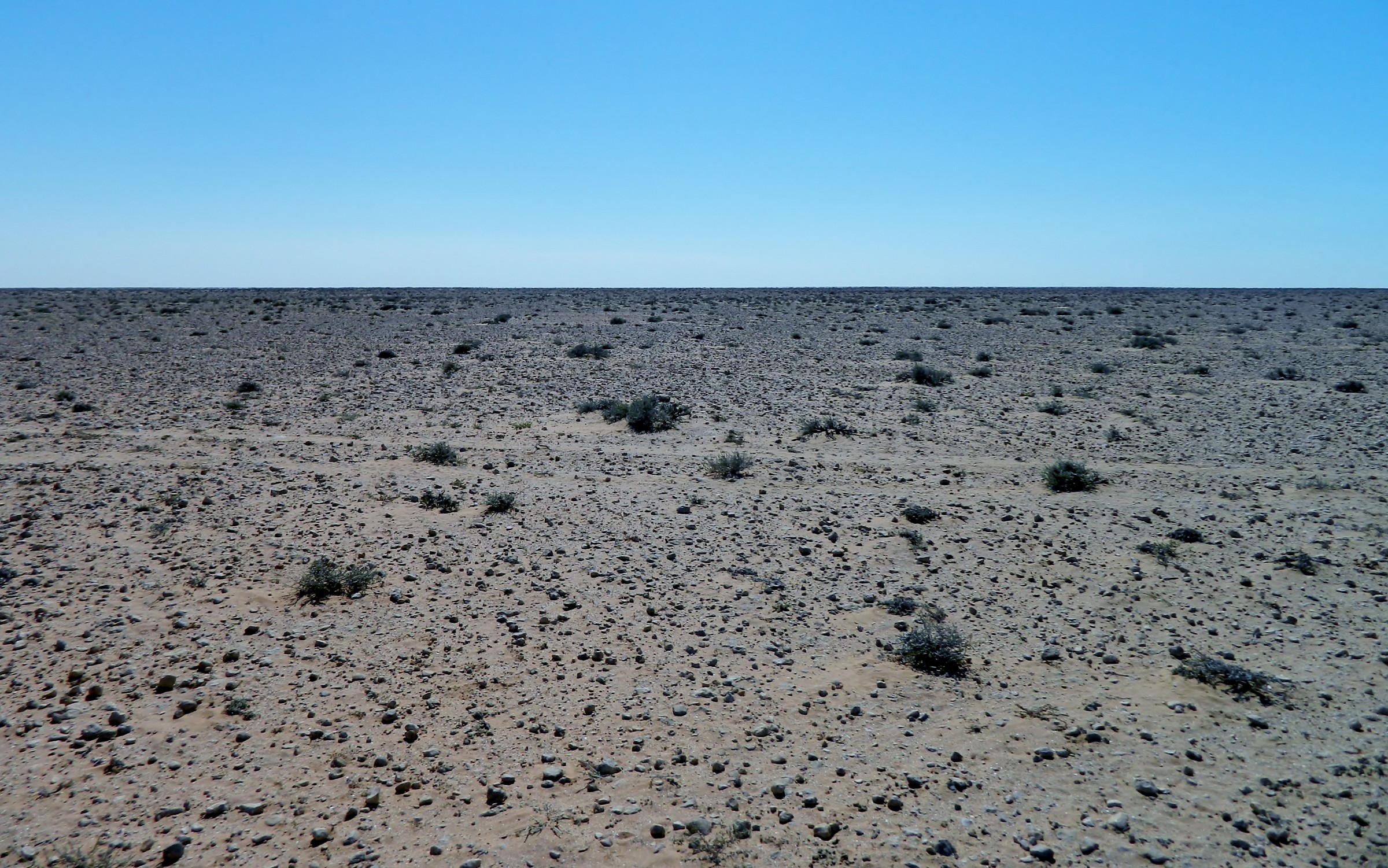 the silence of the desert