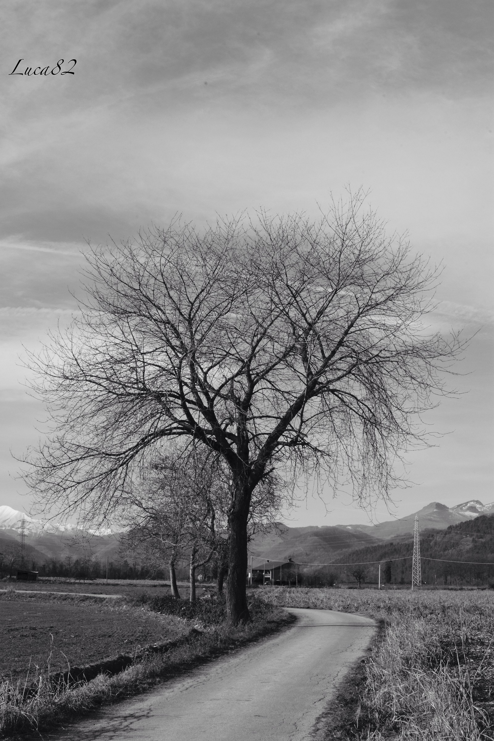 Campaign village San dalmazzo