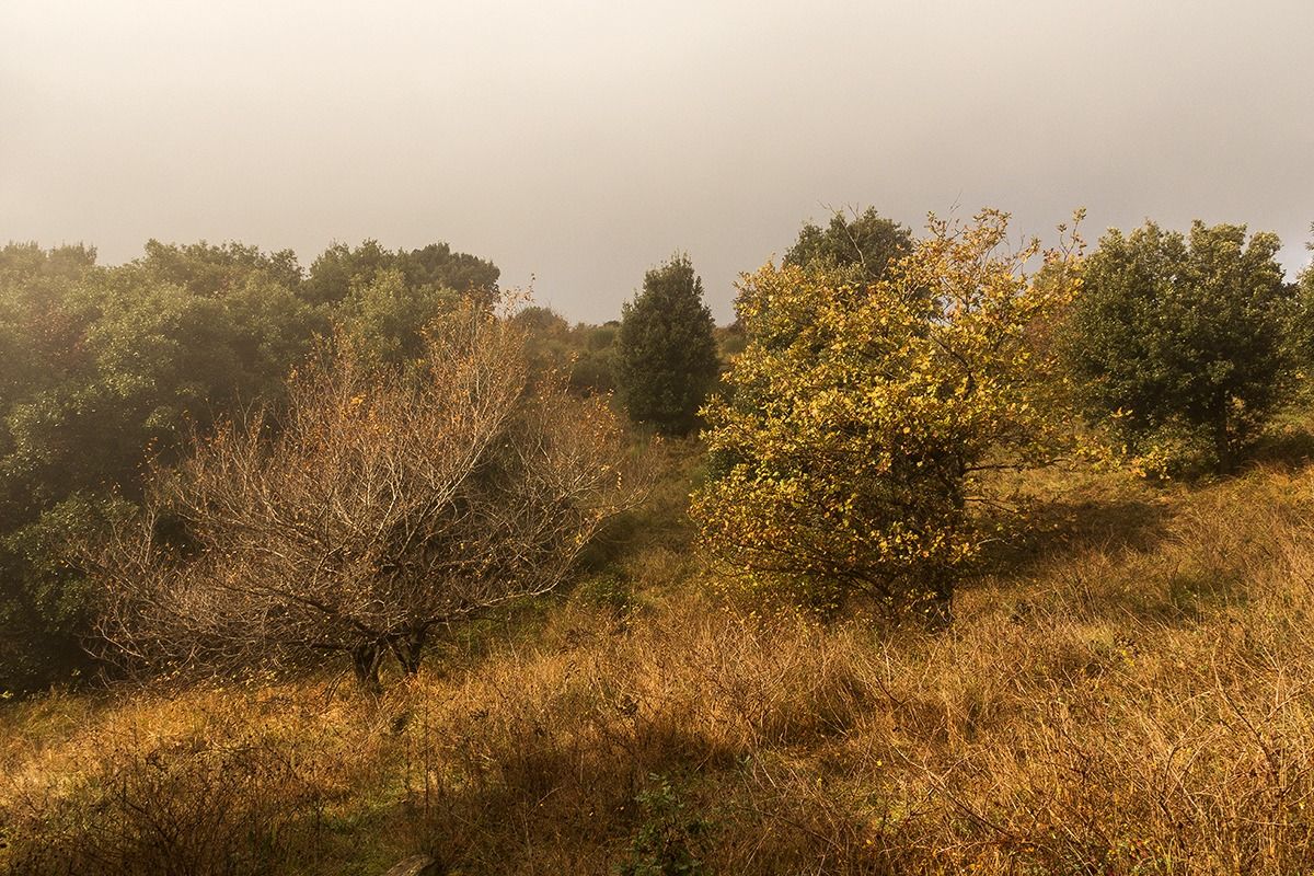 In the middle of nowhere