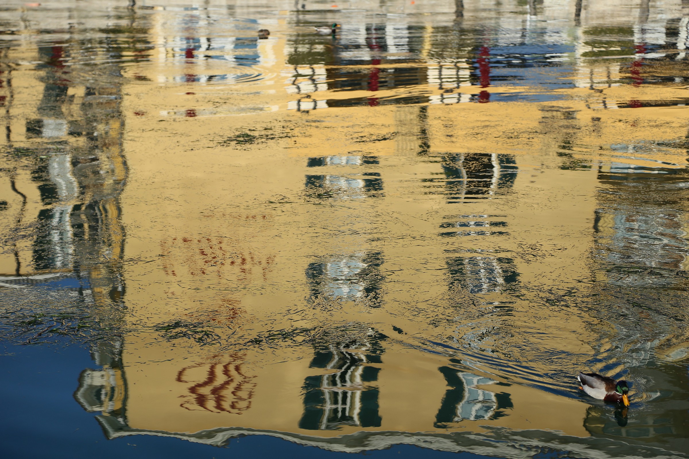 reflections in the lake