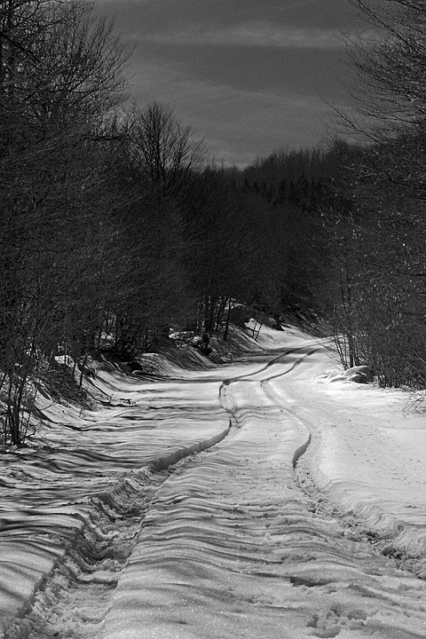 Parco del Beigua- Torbiera del Laione