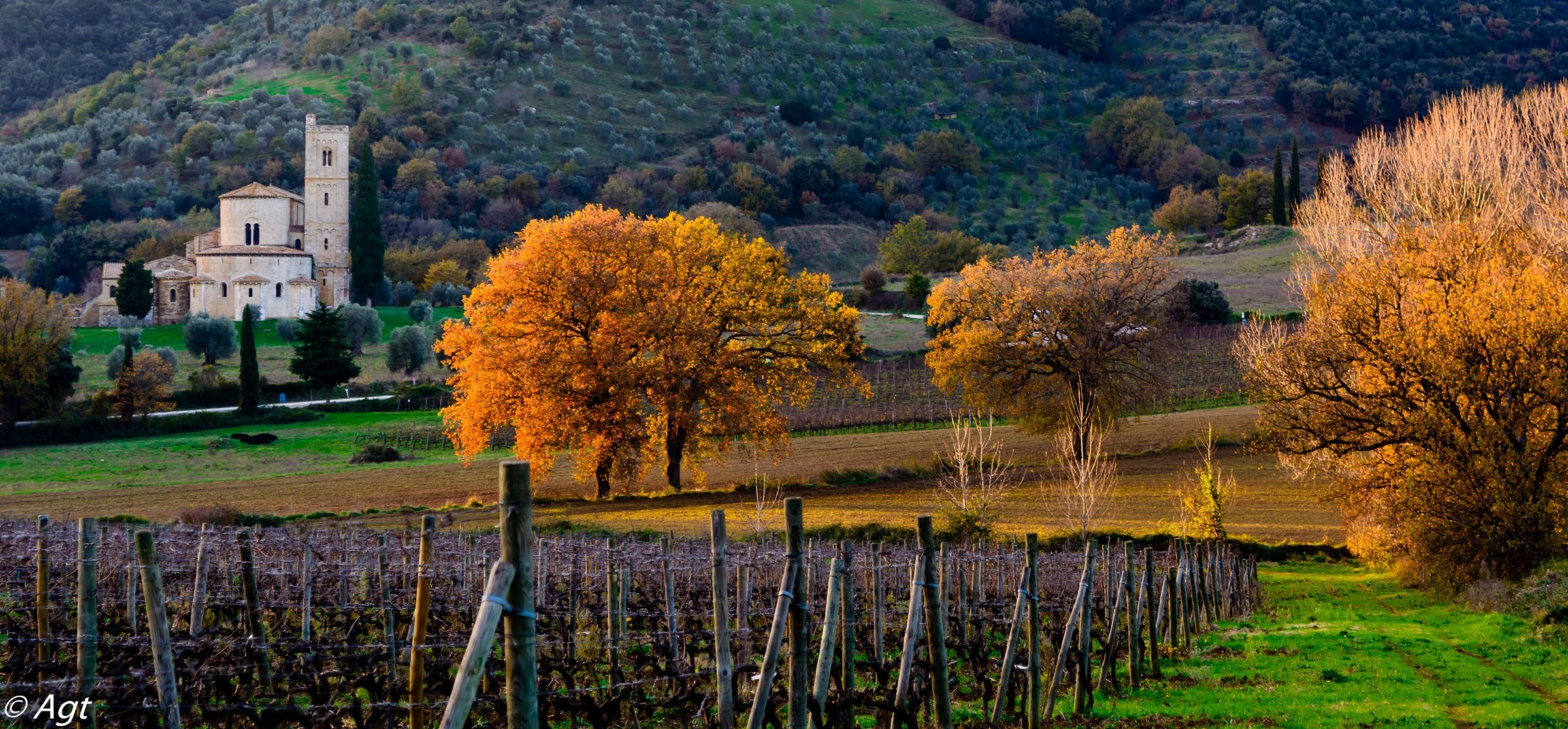 Sant'Antimo and its valley 1 new