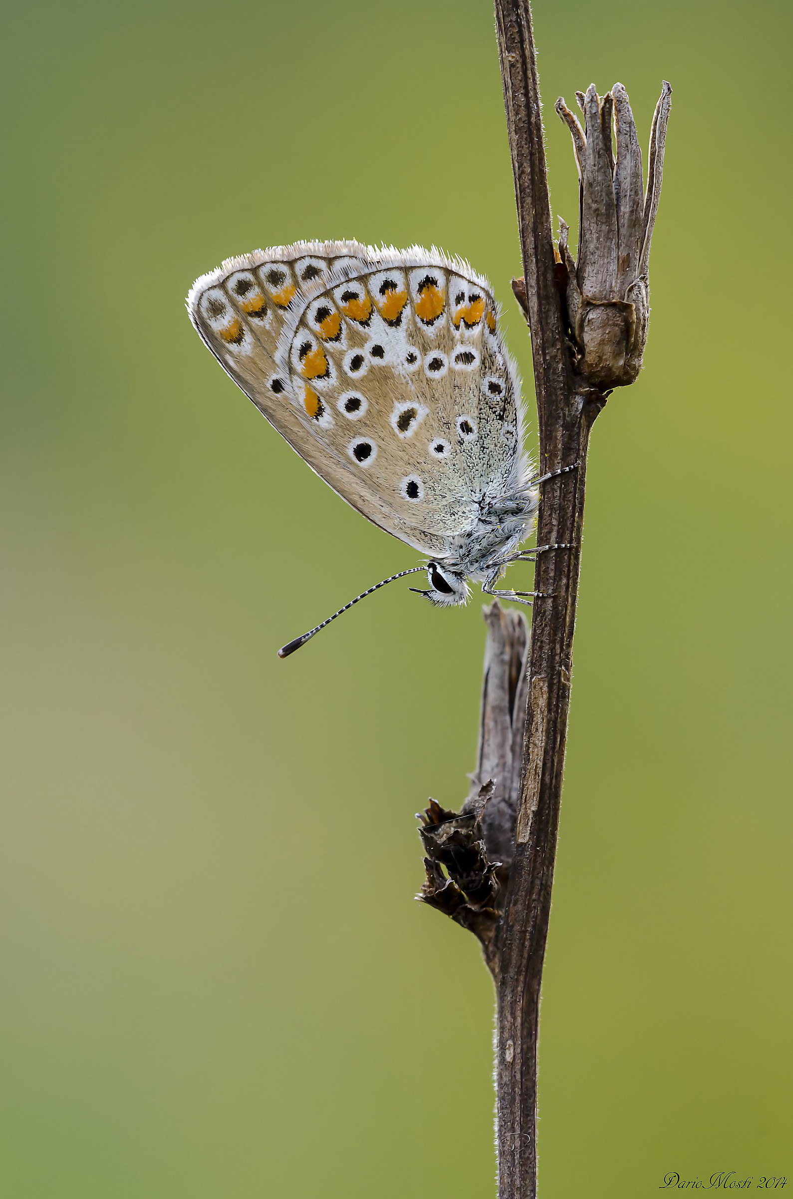 Conveniently upside down.