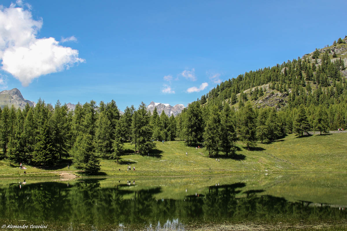 Lake Lod Chamois 2 - VDA -