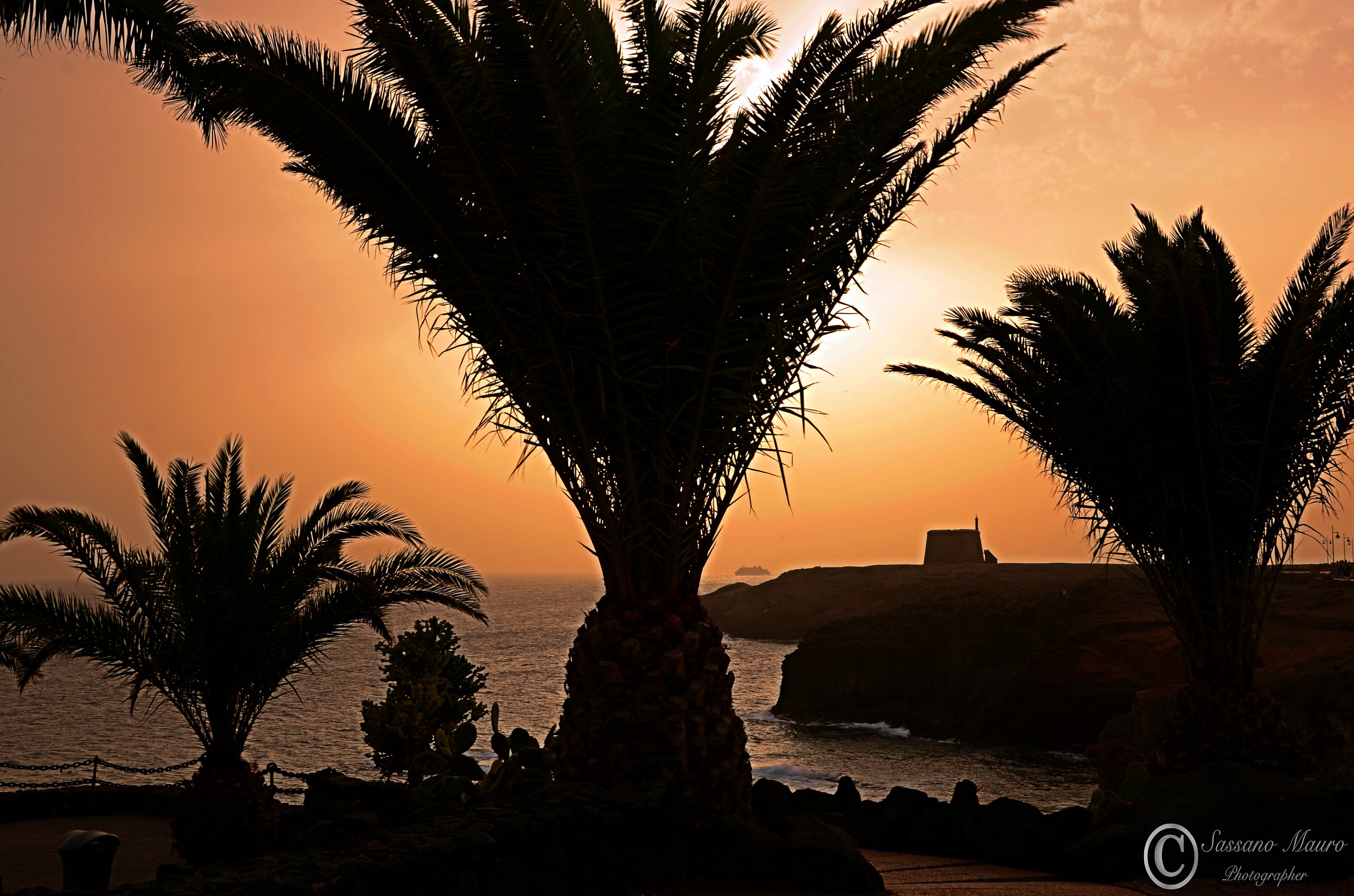 The Castle in the palms