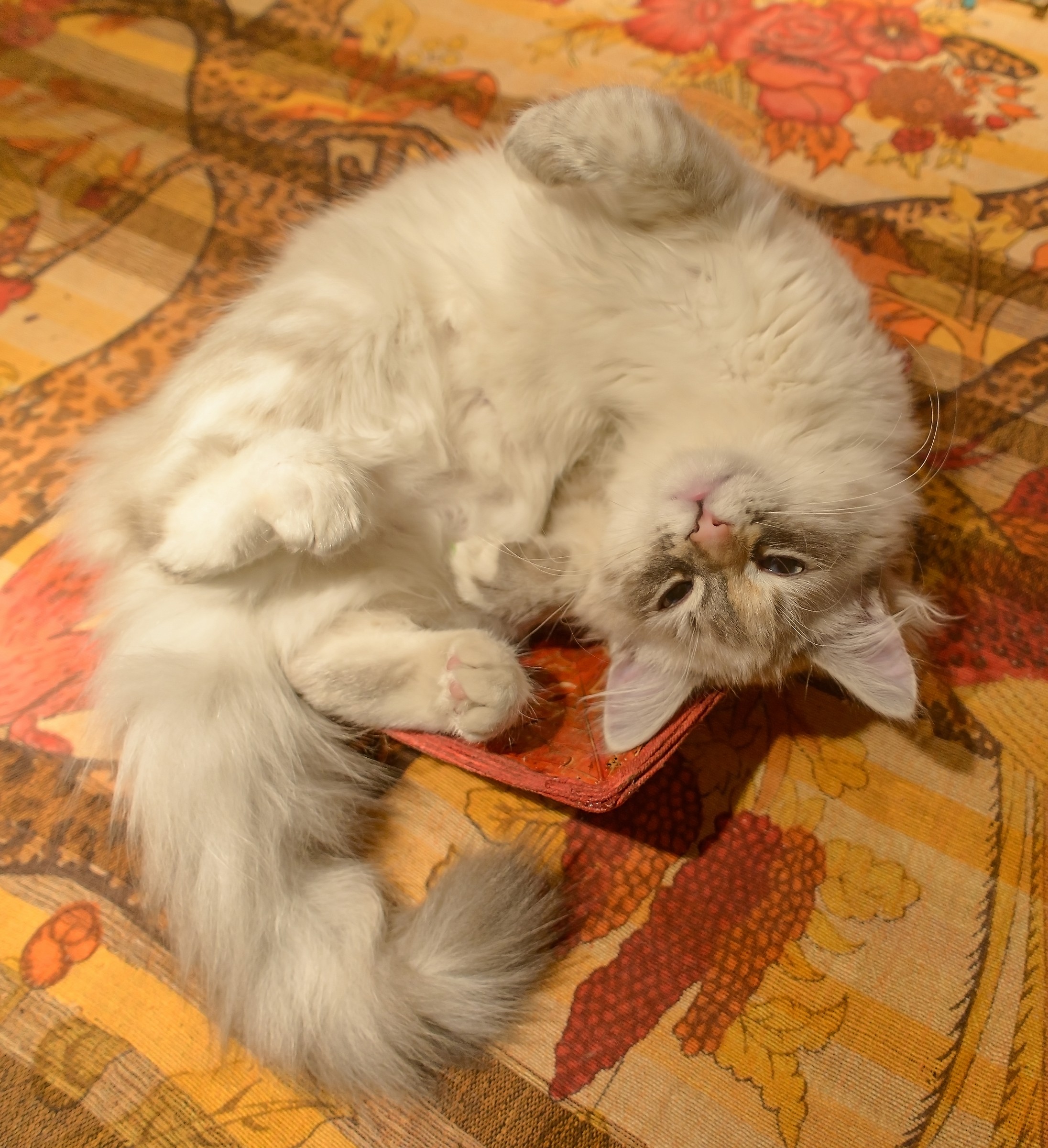 Buongiornoooooo......è già ora di alzarsi???