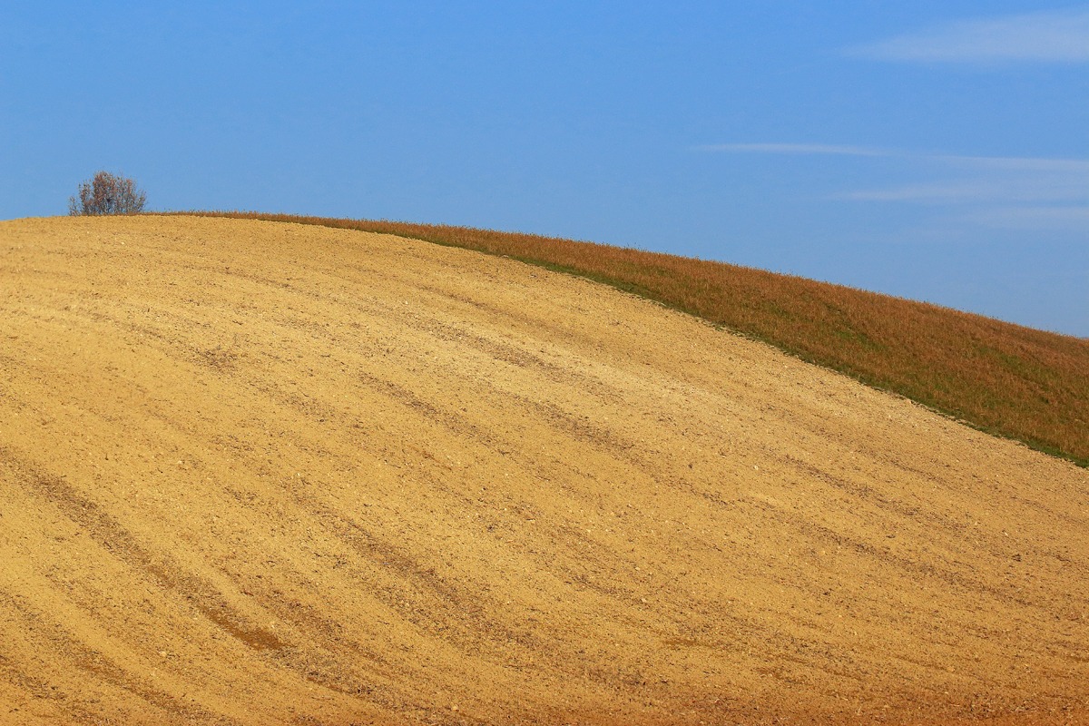Tierra del Monferrato