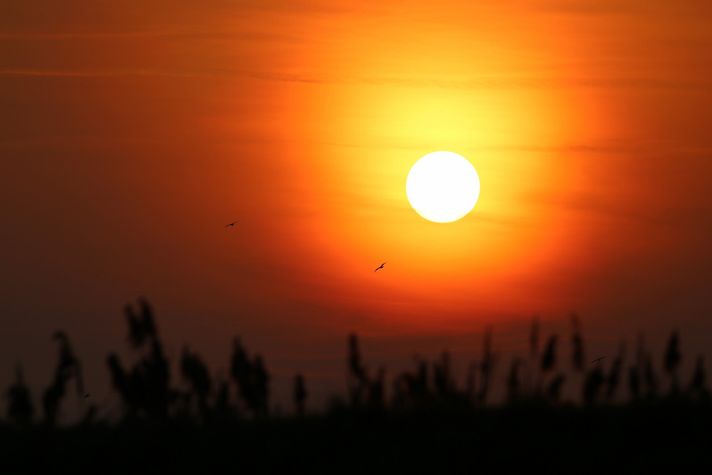 Tramonto a Manzolino