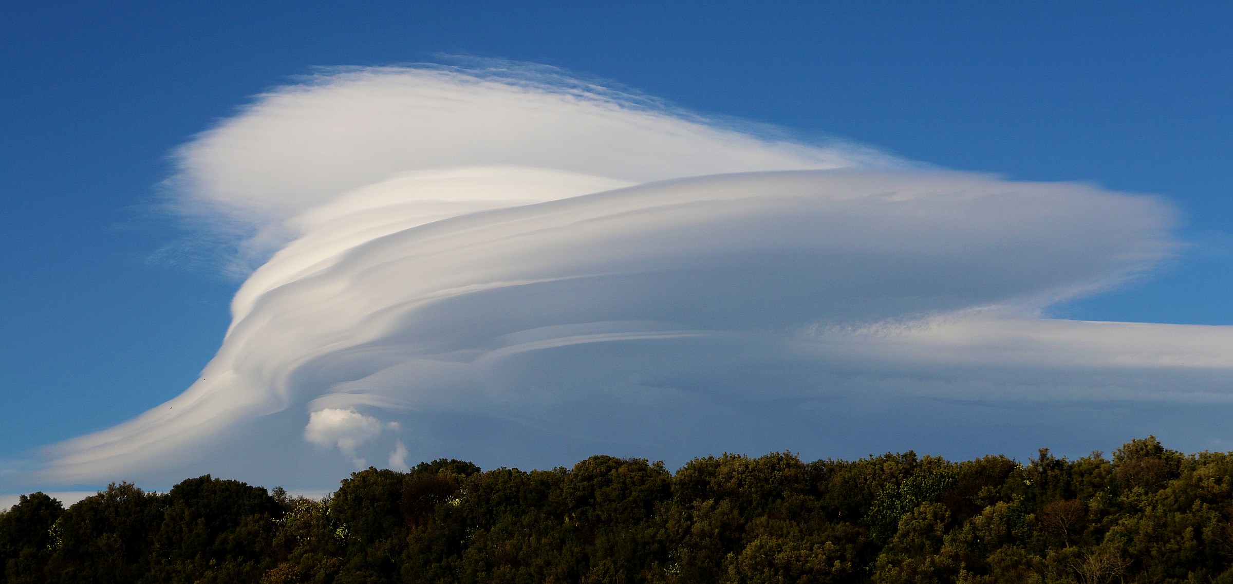 Cup with Whipped Cream