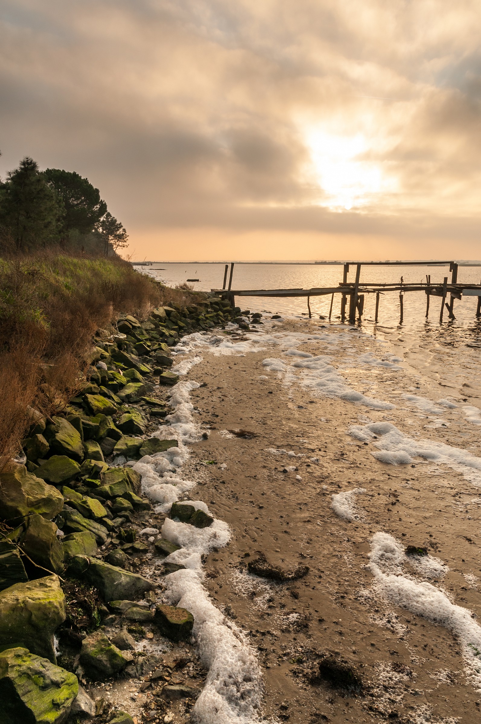 Valleys of Marina Romea (Ravenna) at sunset