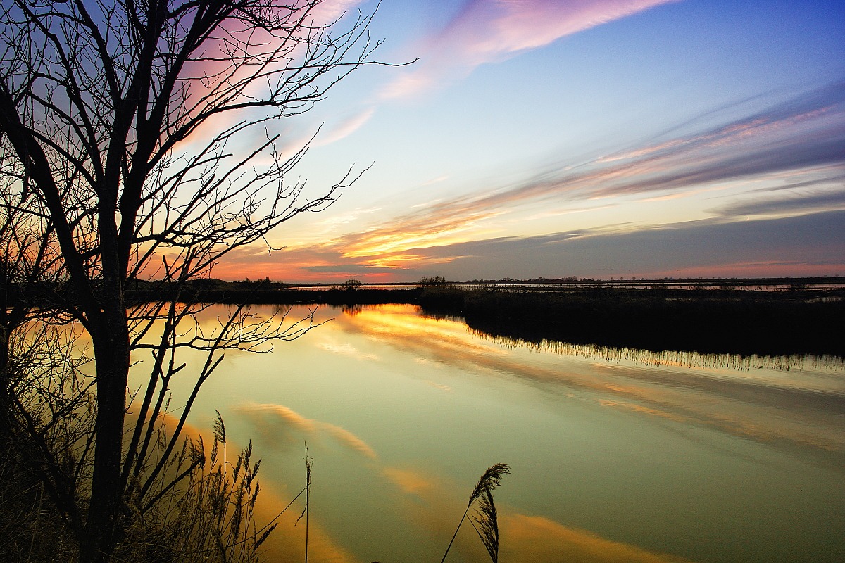 Valle Bagliona the park Po Delta Veneto