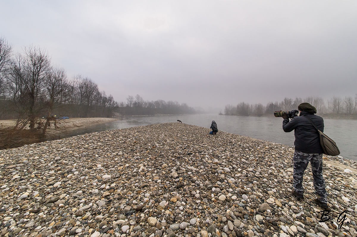 One subject in three photos