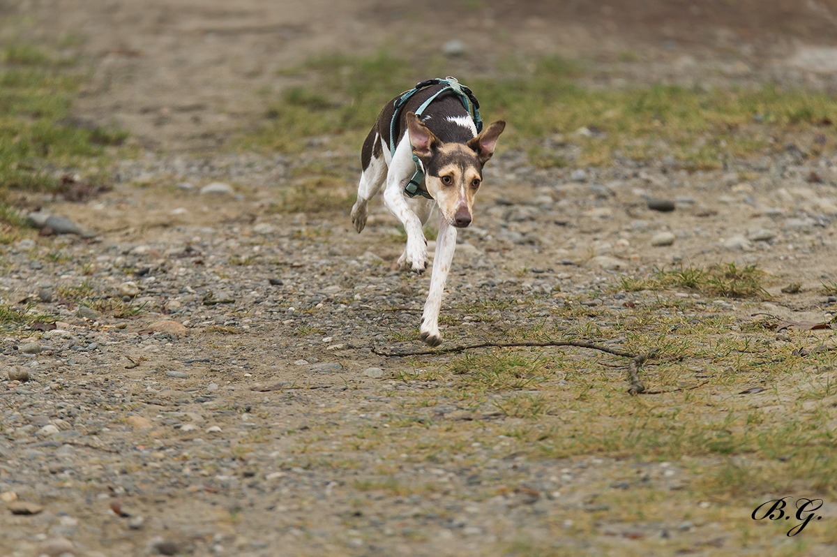 Nuna che ci corre in contro...