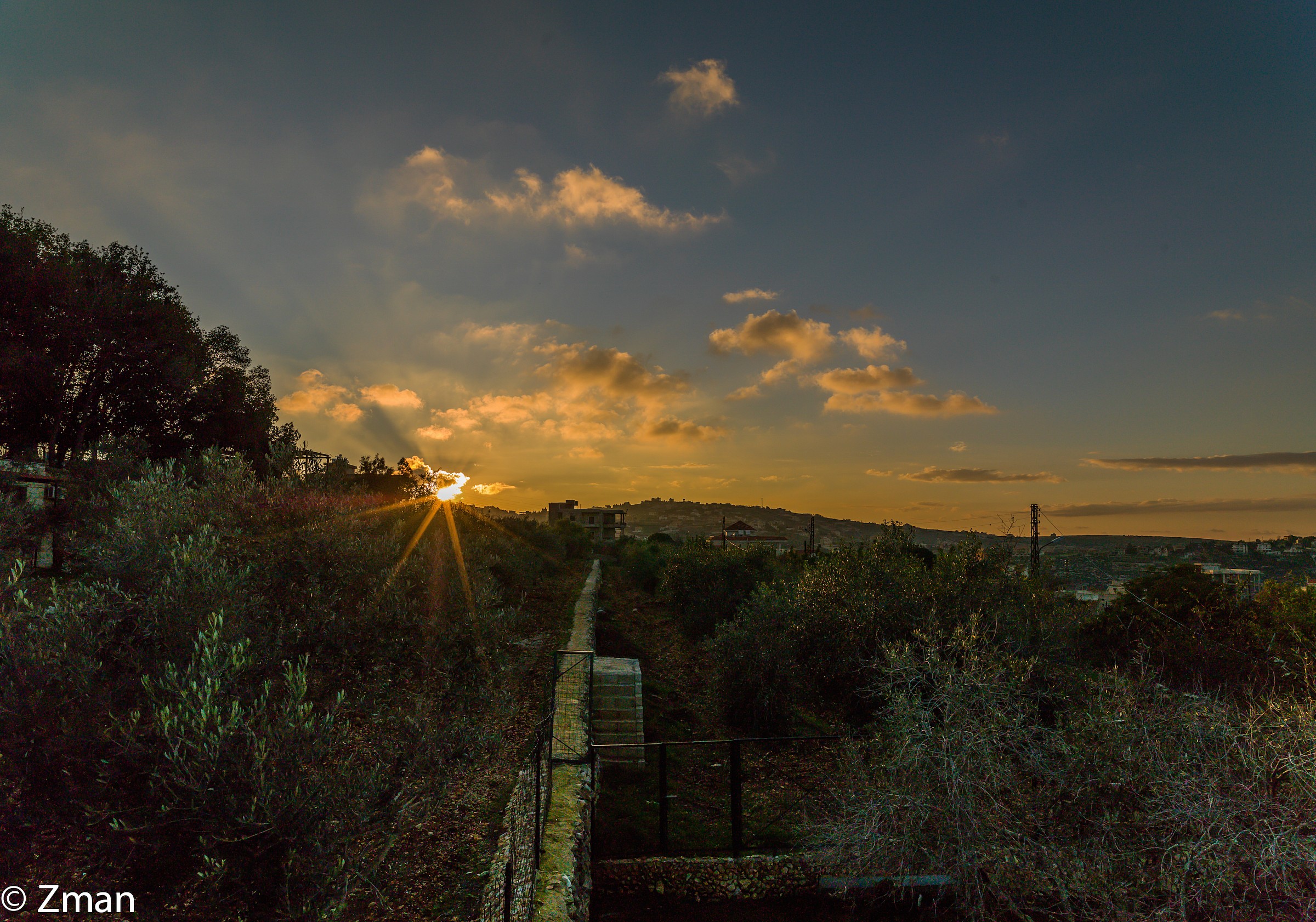 Sunset over the Olive Trees