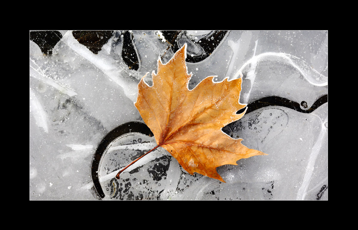 Natural geometries with leaf # 1