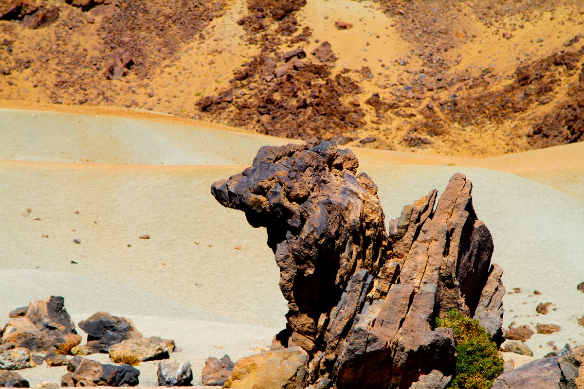 Stone dog - canon 100 mm