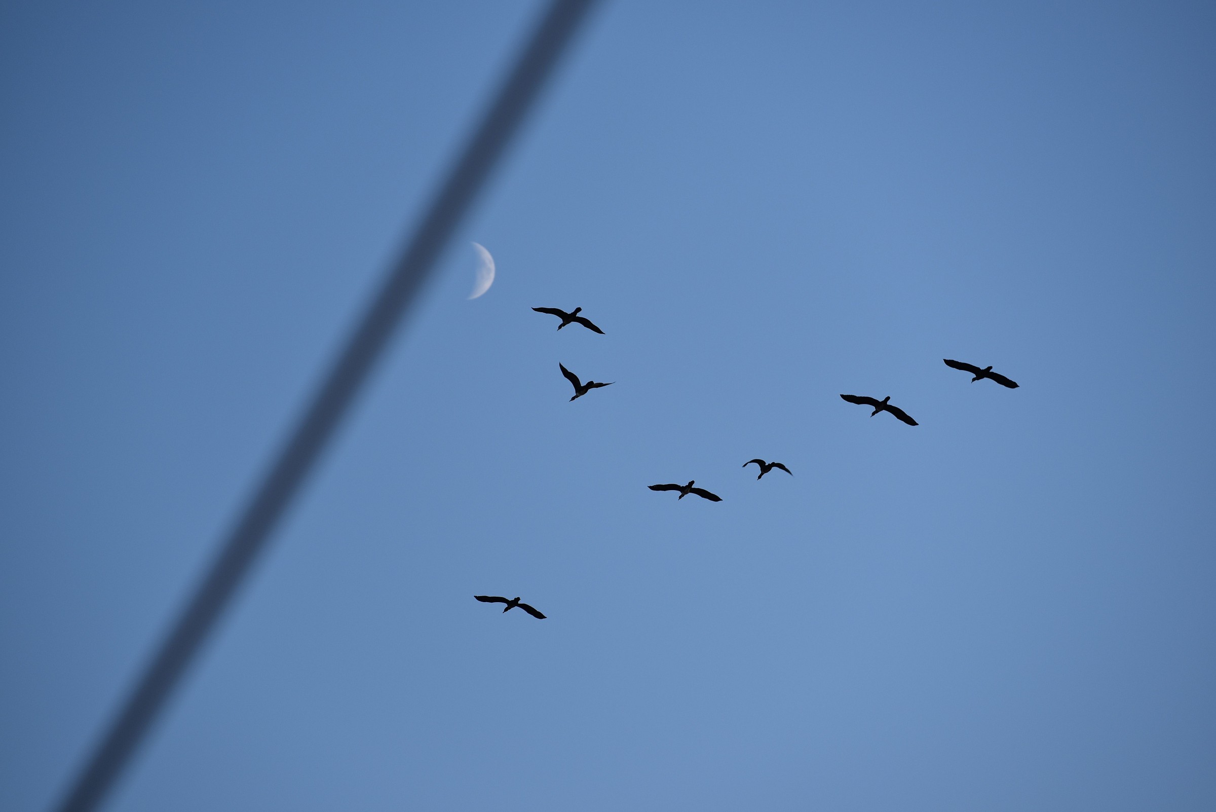 Pomeriggio al Granatello