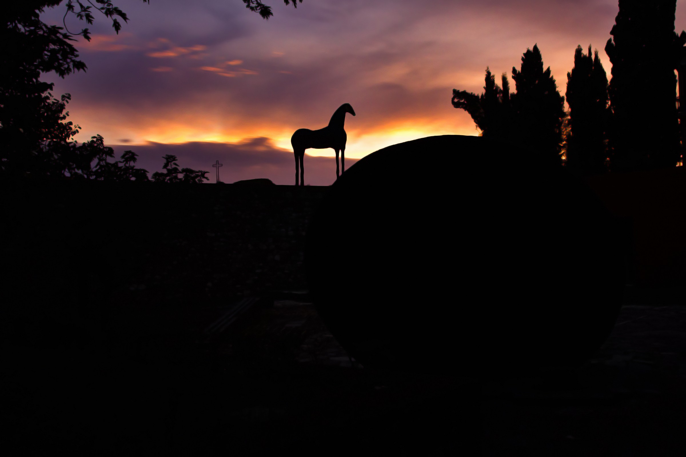 Sunset and silouhettes