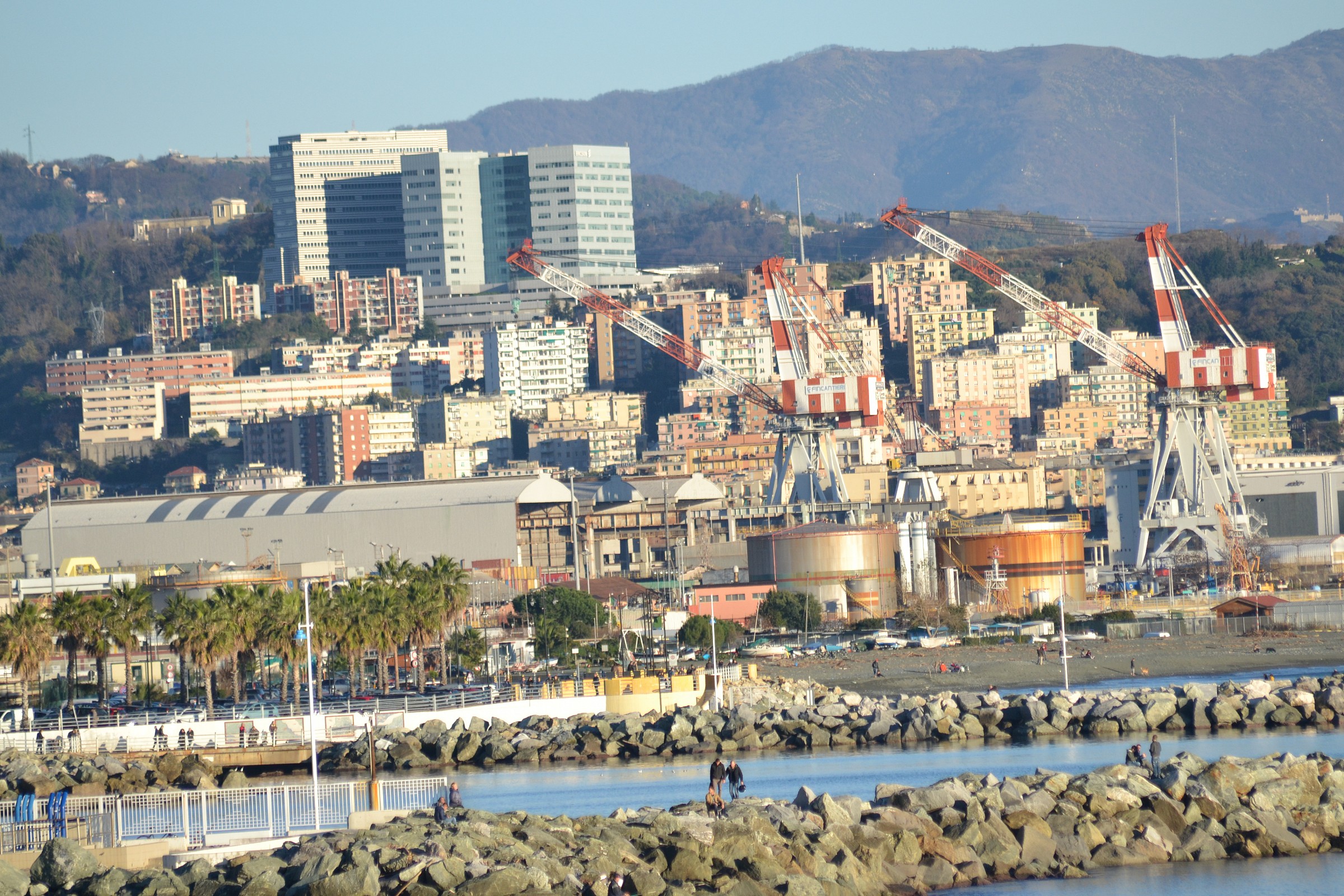 Great zoom, great visions.