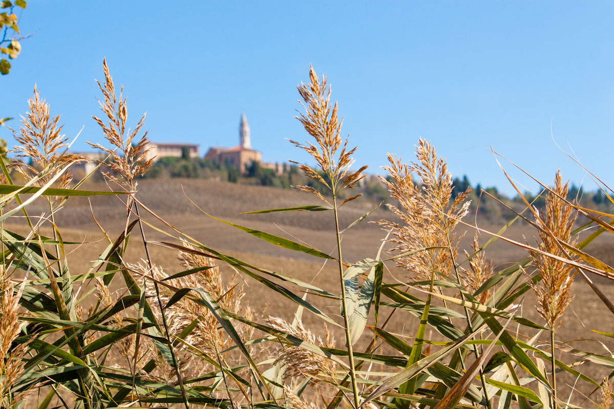 Cathedral of Pienza