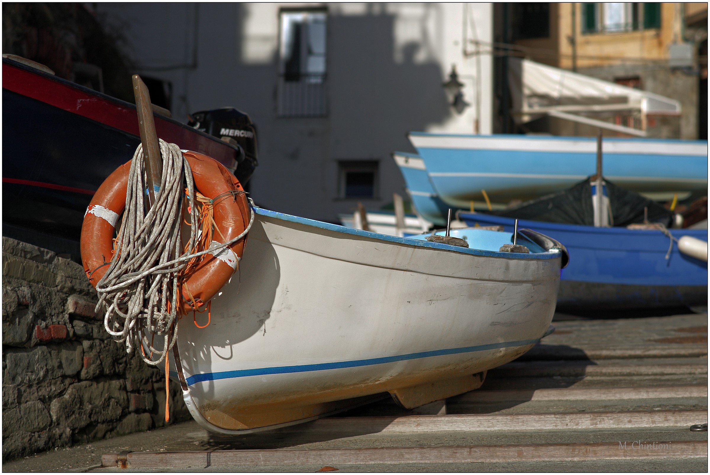 dettagli di ... Riomaggiore 6