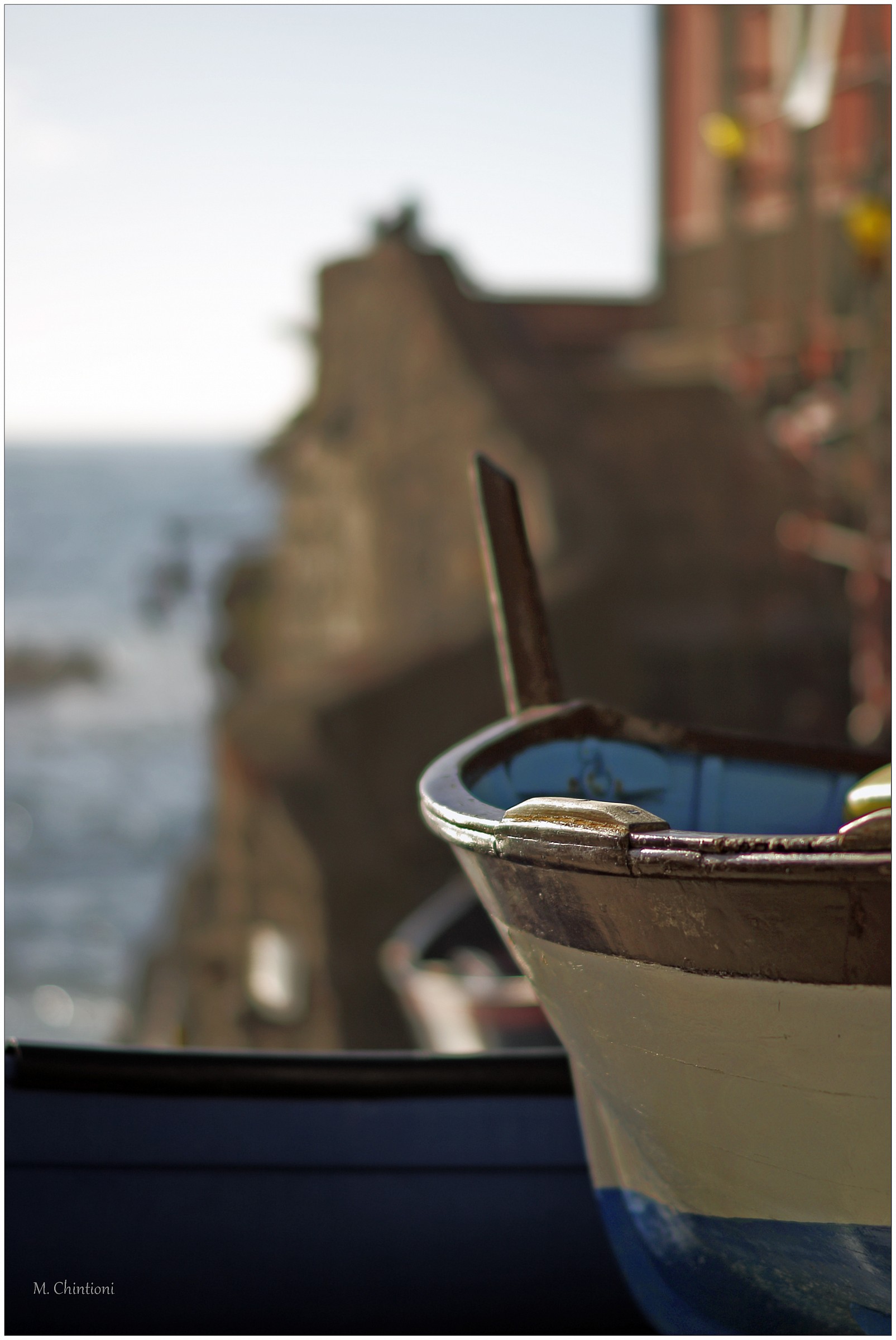 dettagli di ... Riomaggiore 7