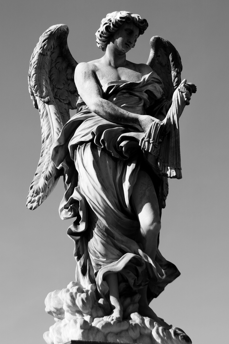 Angel Wings - canon 200 mm