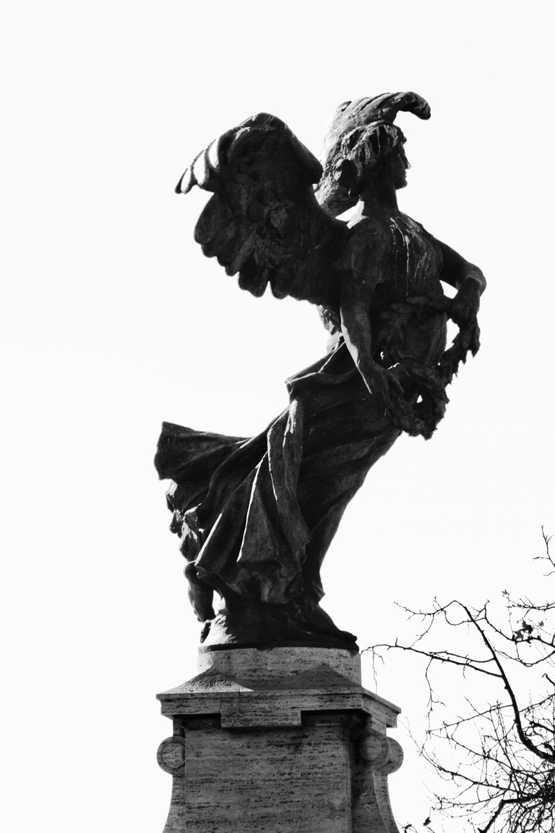 Black Angel - canon 400 mm