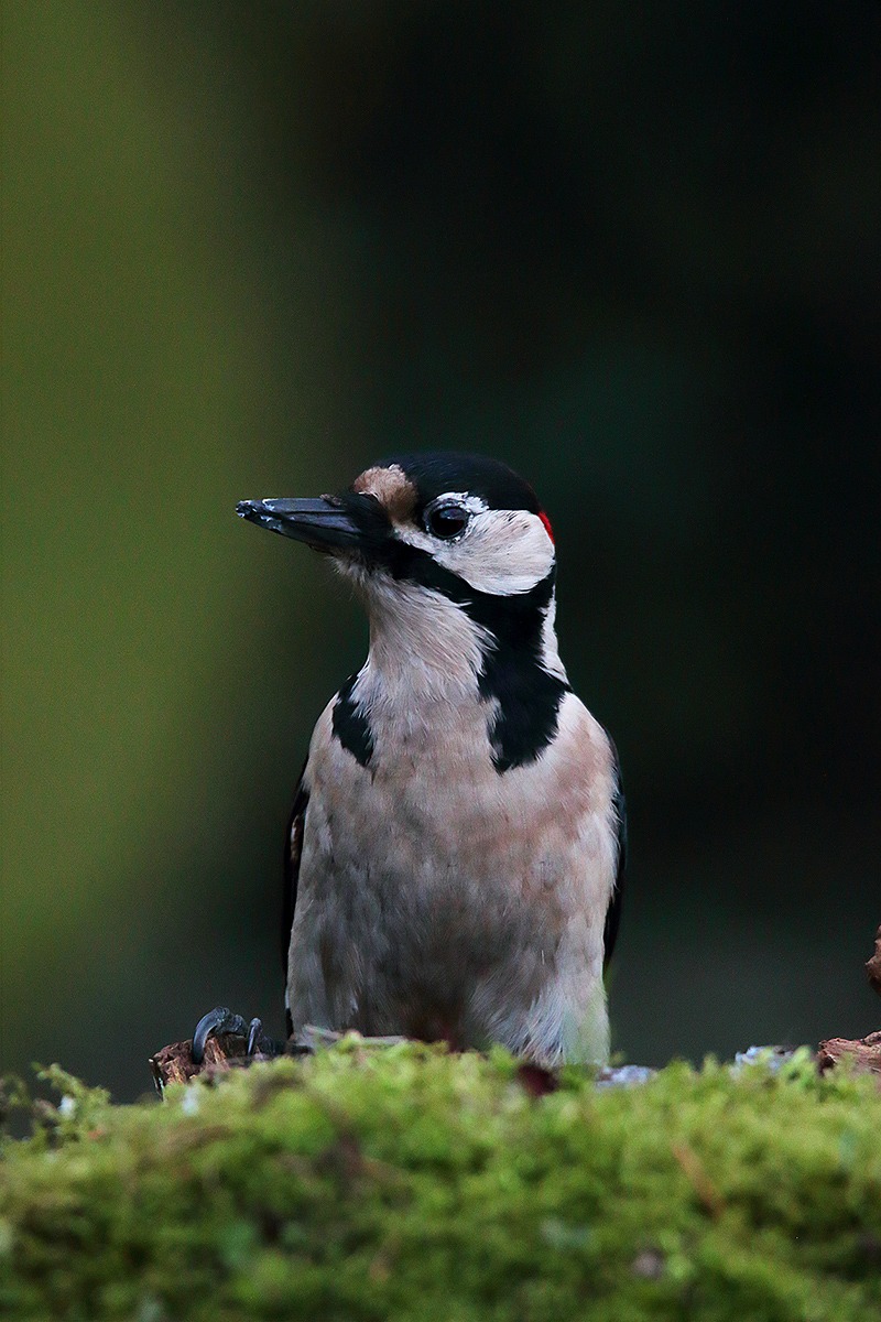 almost in the dark ...