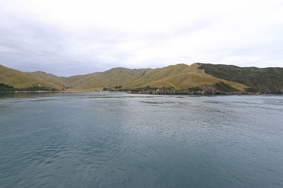 Marlborough Sound