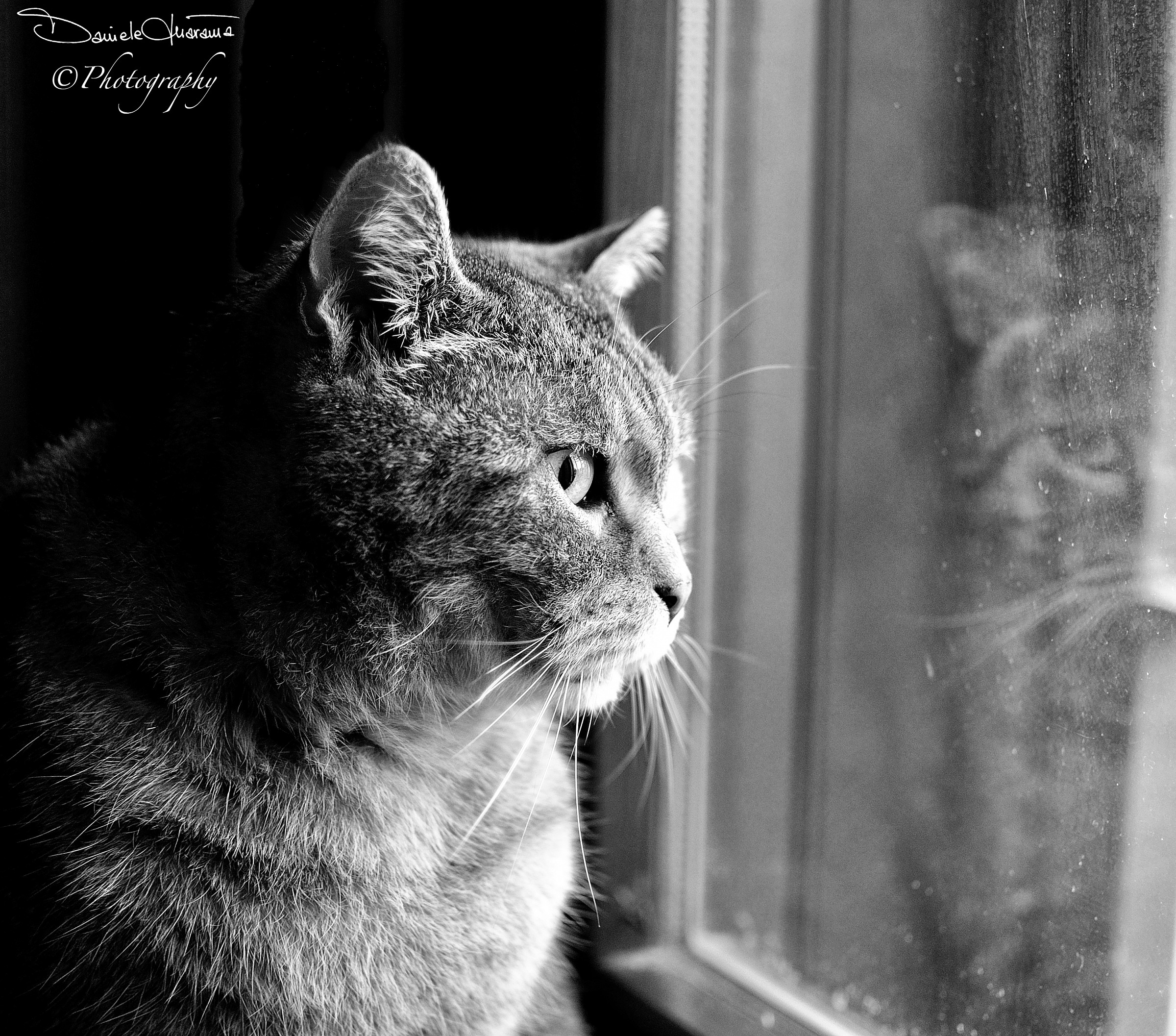 Pensieri...riflessi...!