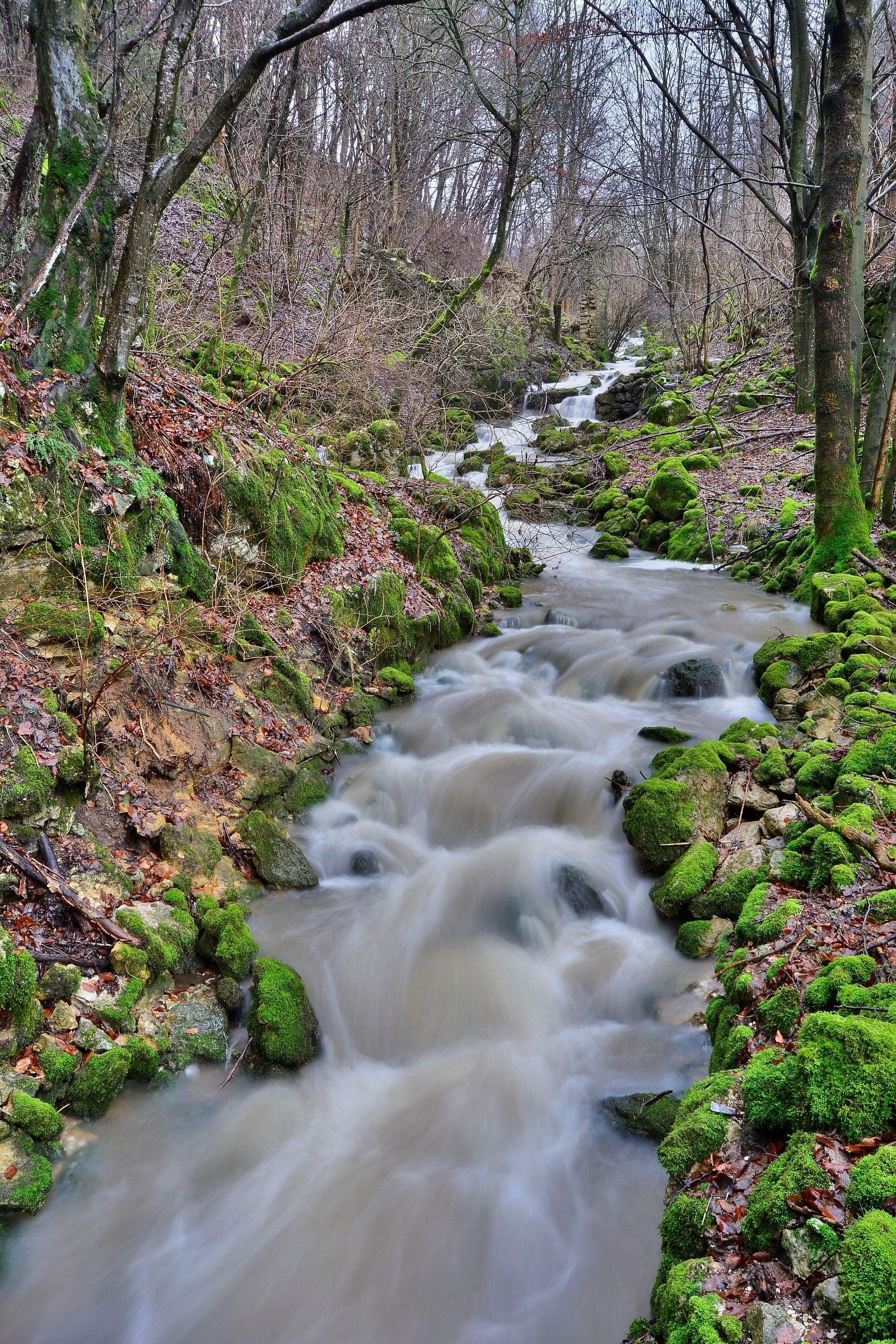 Torrenti in Lessinia