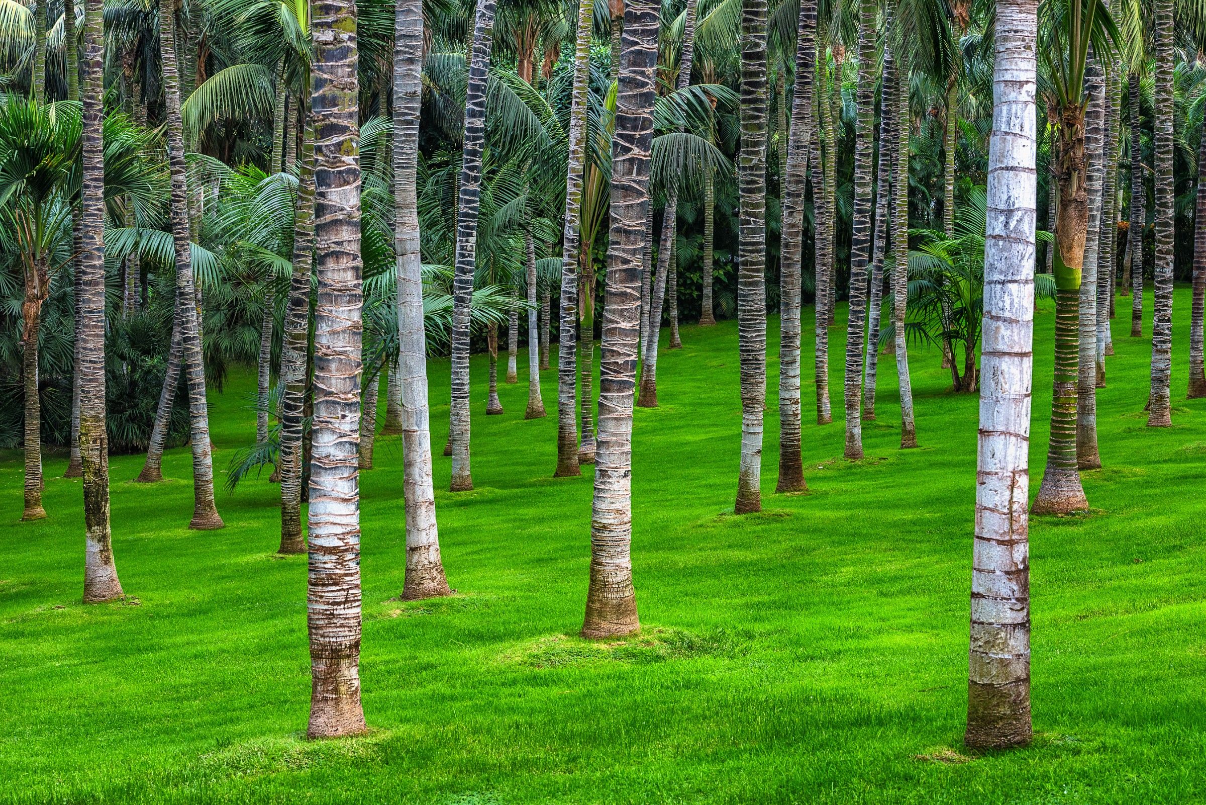 Refreshing atmosphere