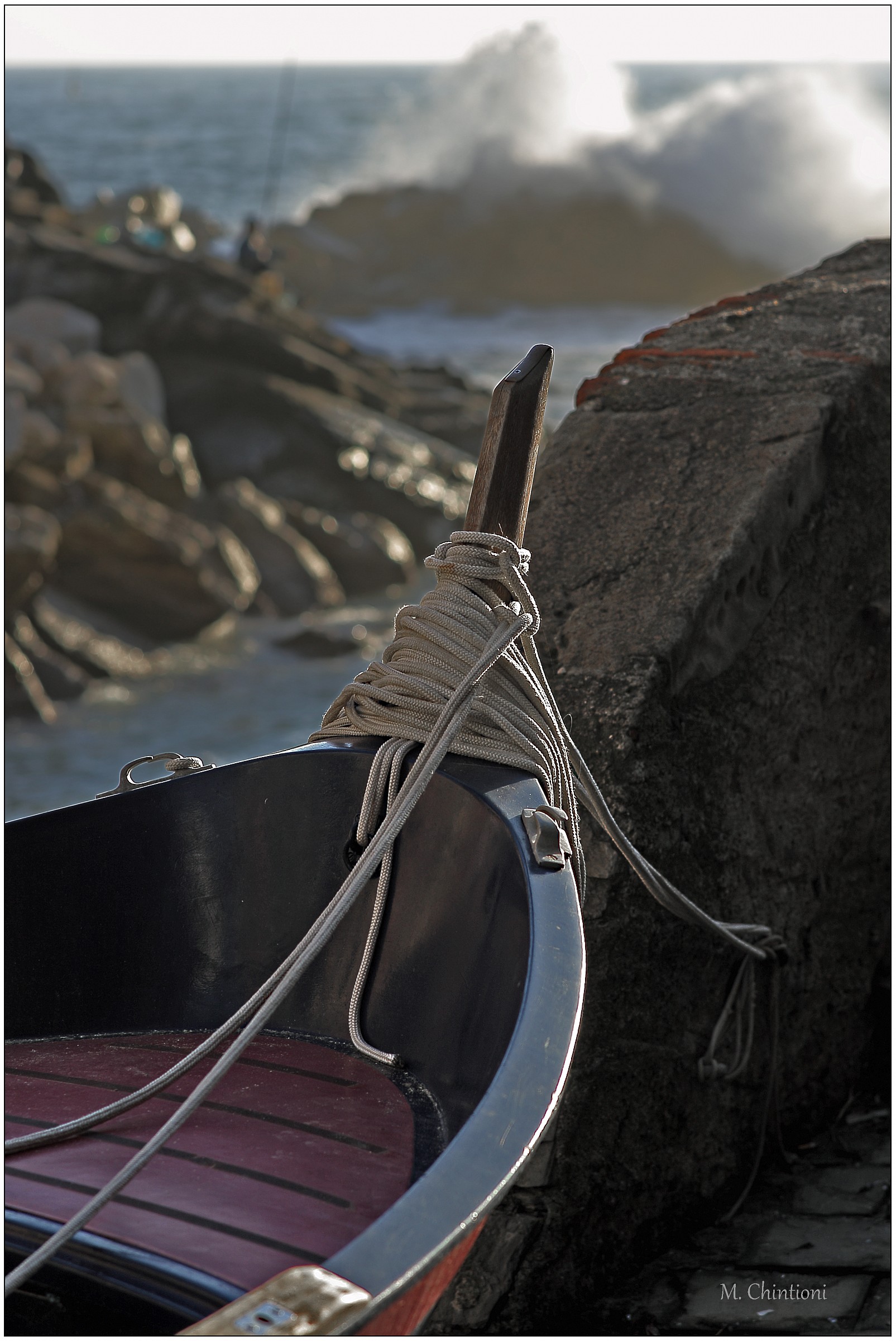 dettagli di ... Riomaggiore 9