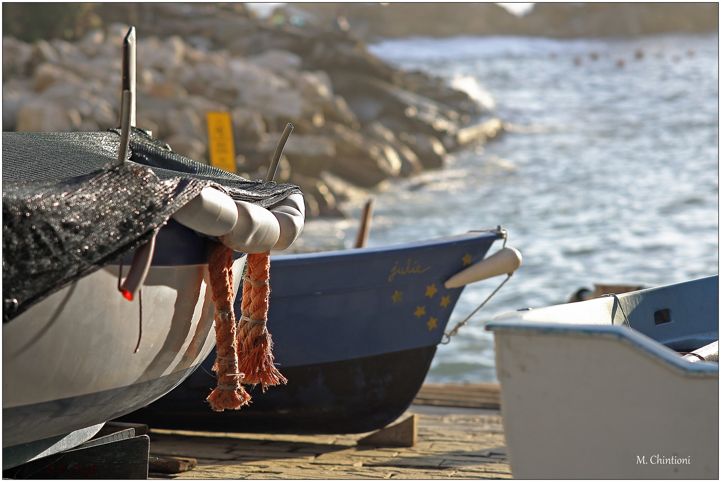 dettagli di ... Riomaggiore 11
