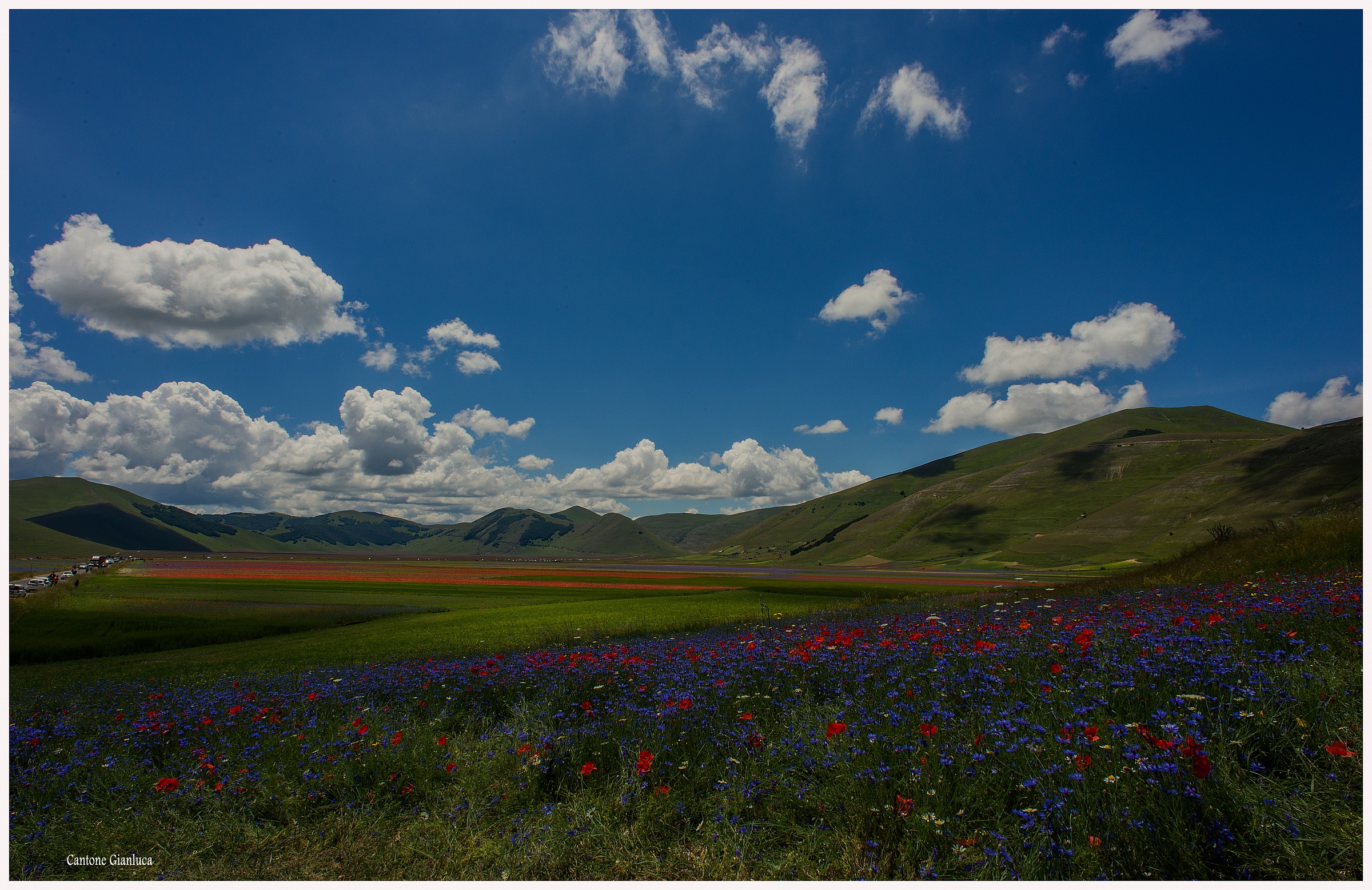 m'illumino of immense