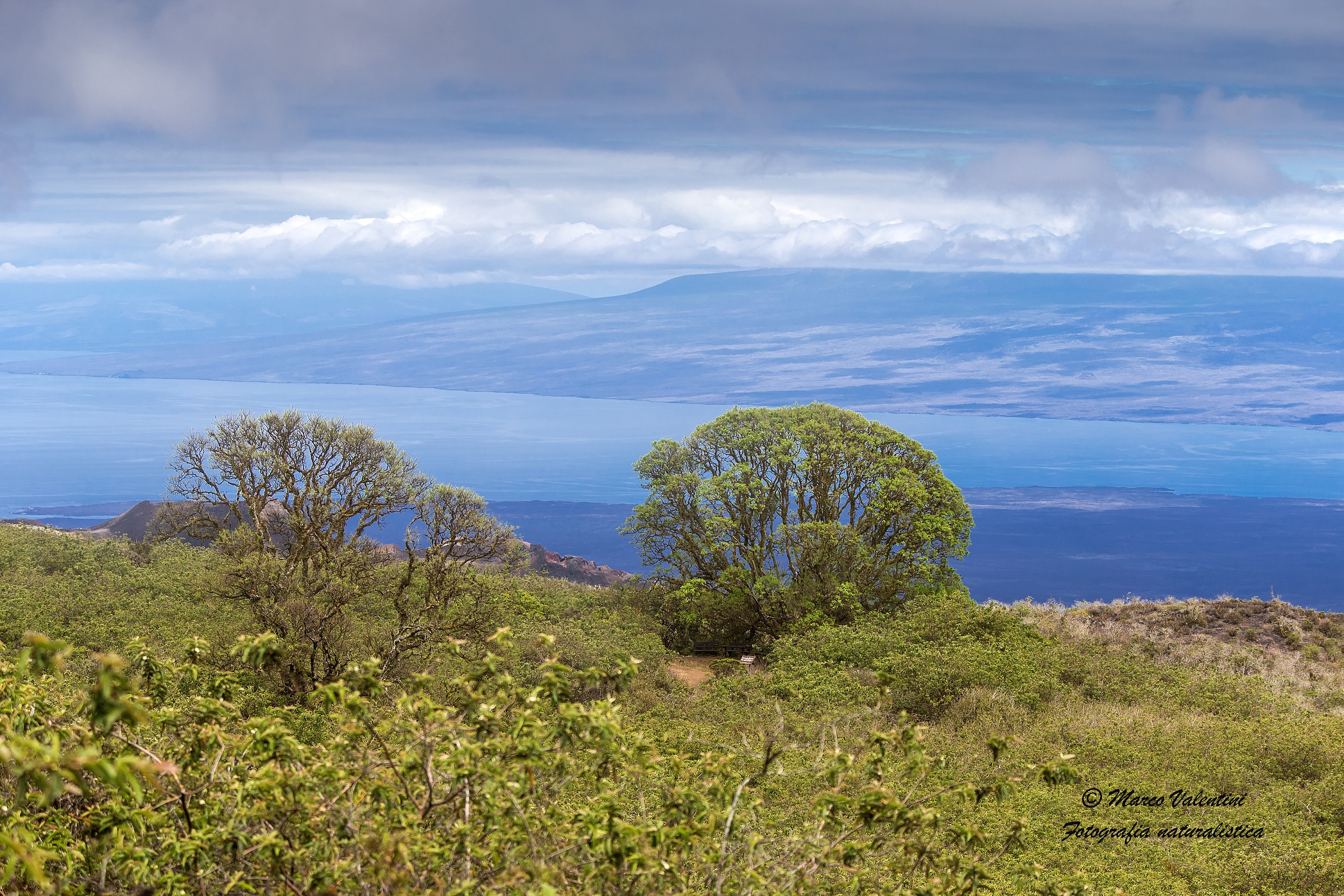 The volcanoes, clouds, life