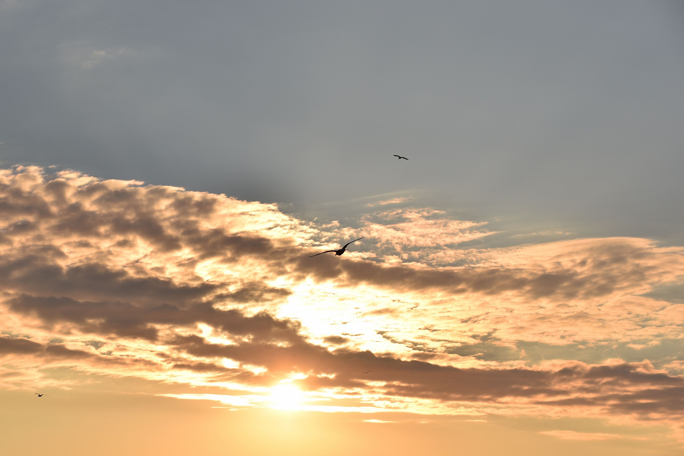 Pomeriggio al Granatello