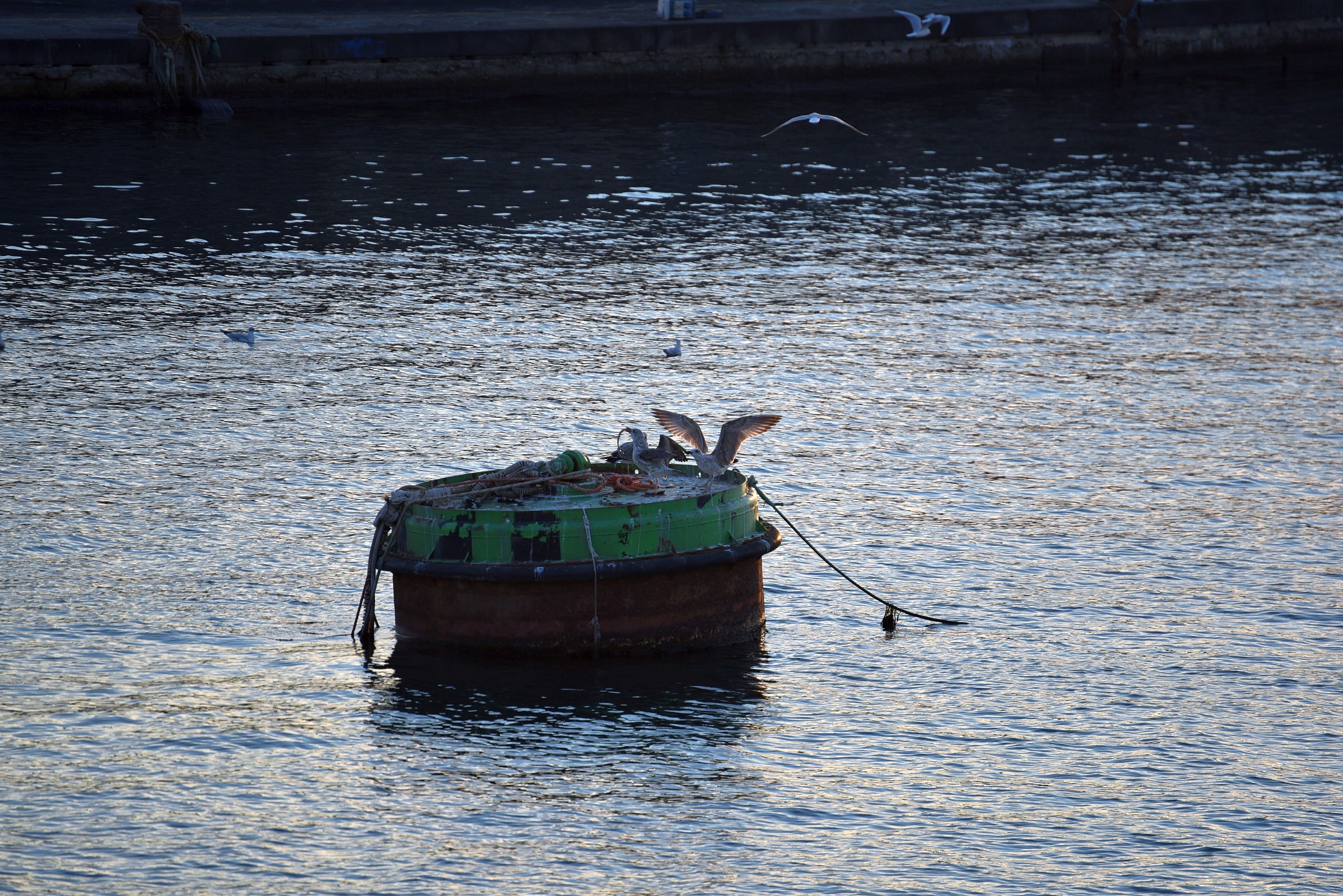 Pomeriggio al Granatello