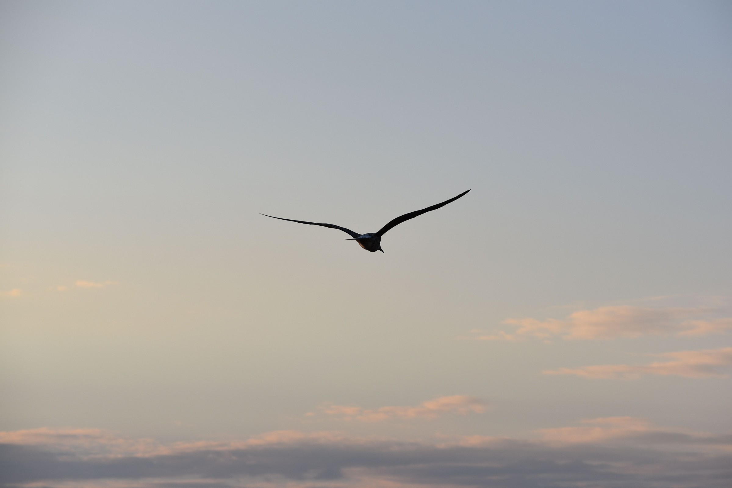 Pomeriggio al Granatello