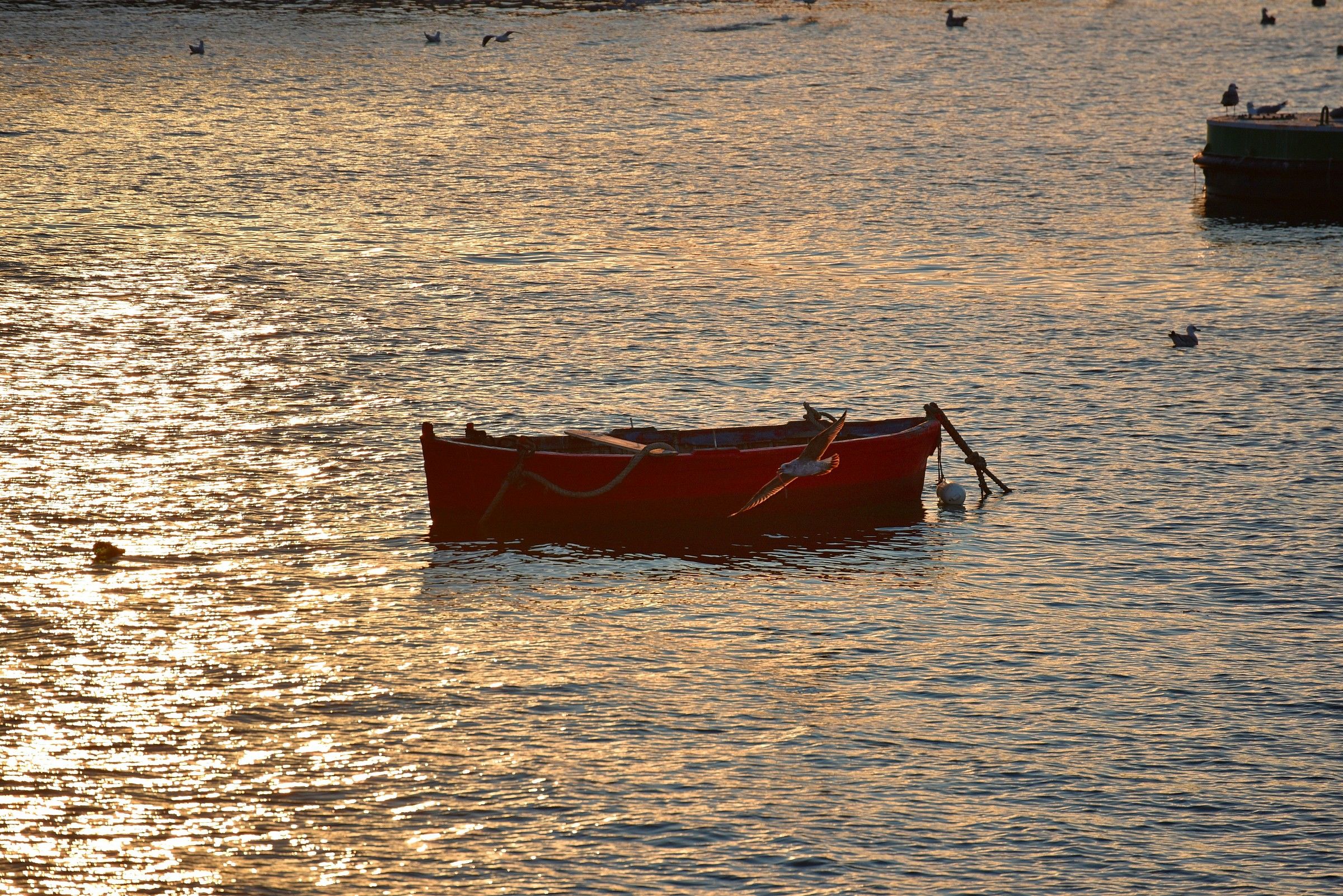 Pomeriggio al Granatello
