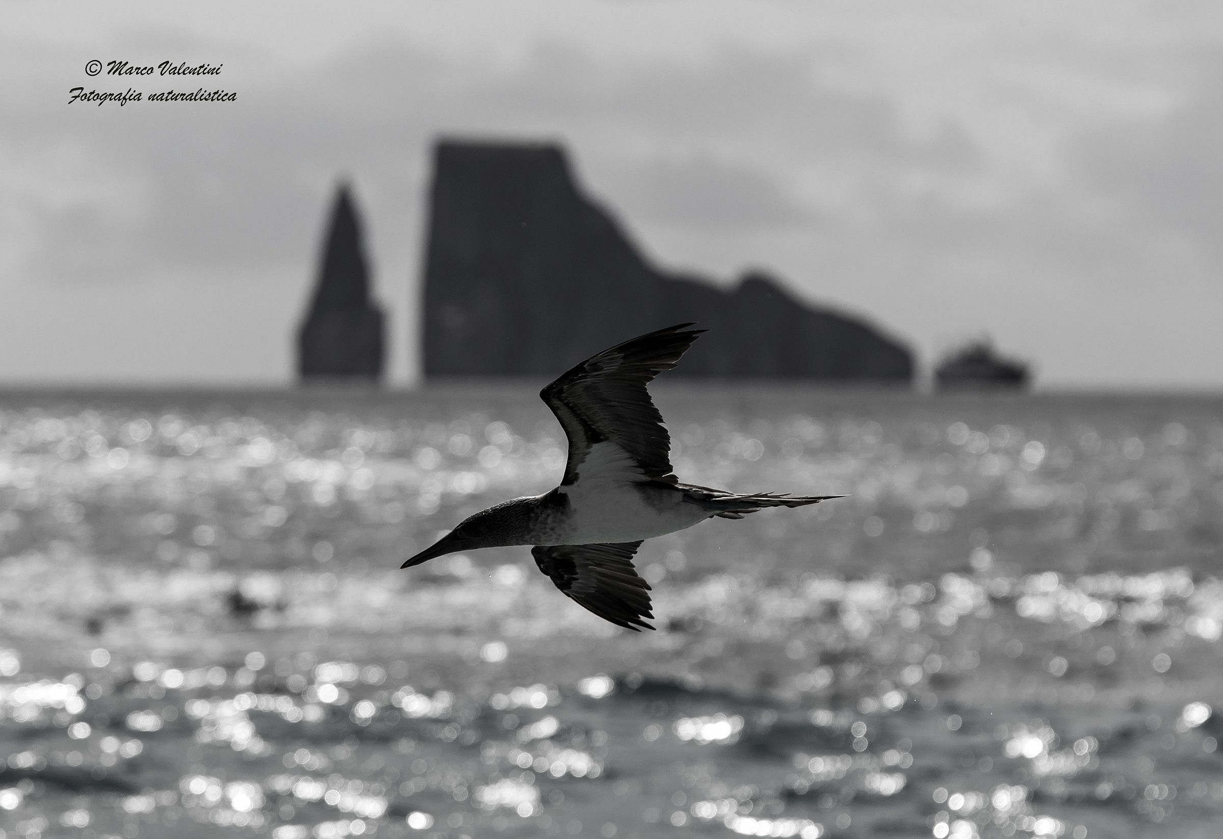 The essence of the islands